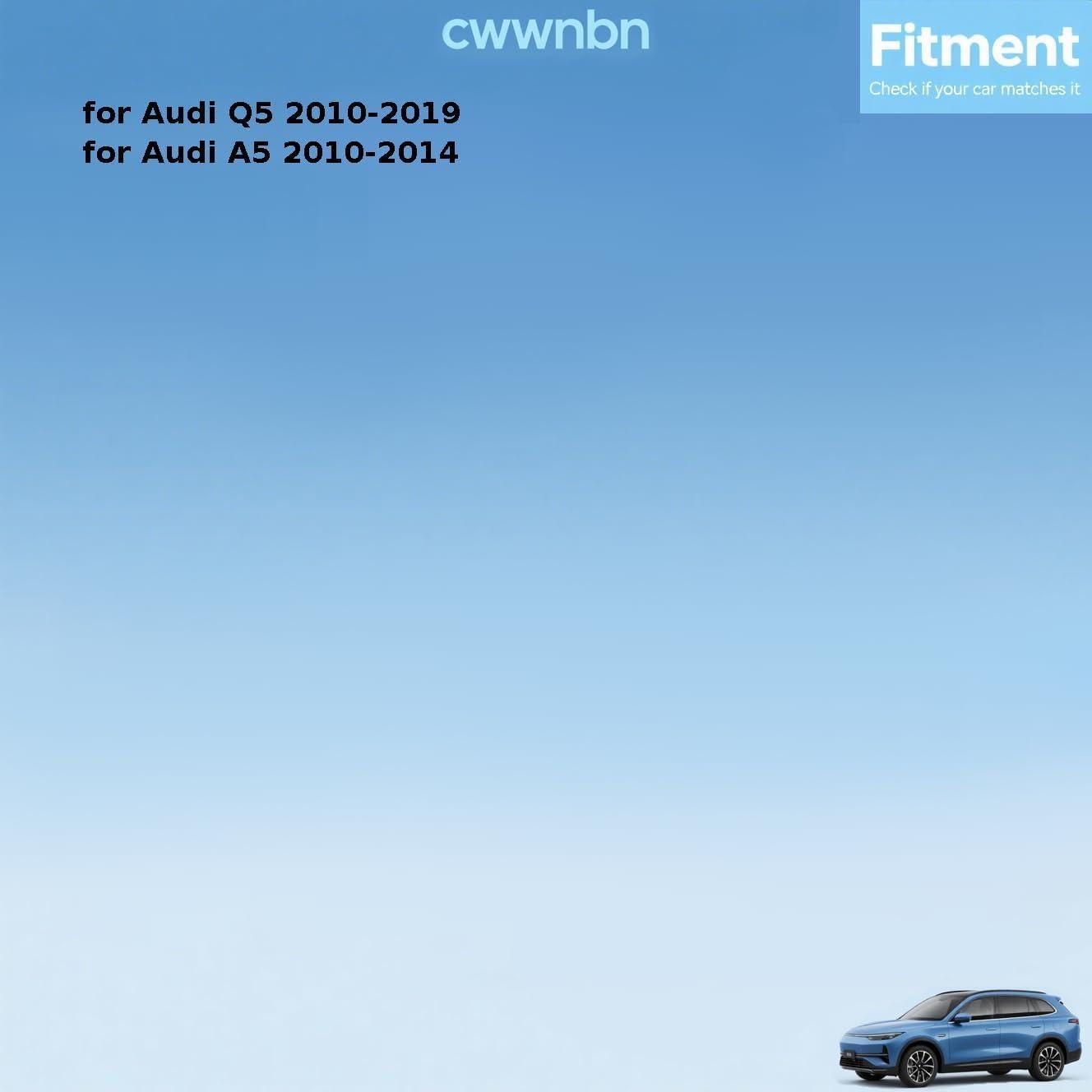 Montaje de Motor Derecho Audi Q5/A5 2010-2019 8K0199381JR