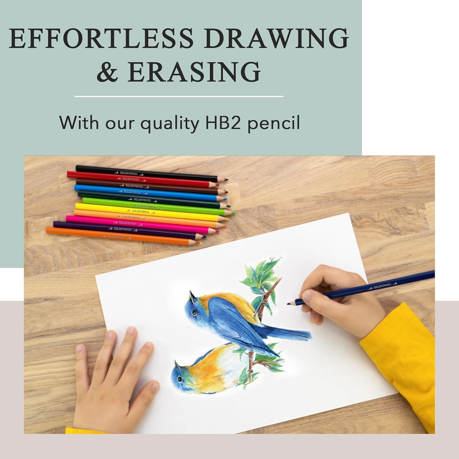 Set de Lápices de Colores Three Leaf 12 Unidades Calidad Premium