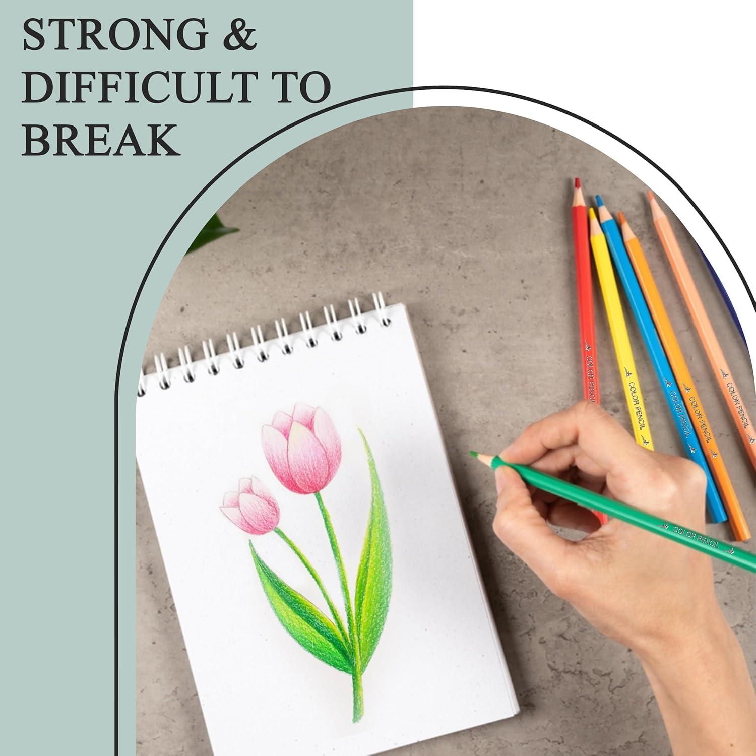 Set de Lápices de Colores Three Leaf 12 Unidades Calidad Premium