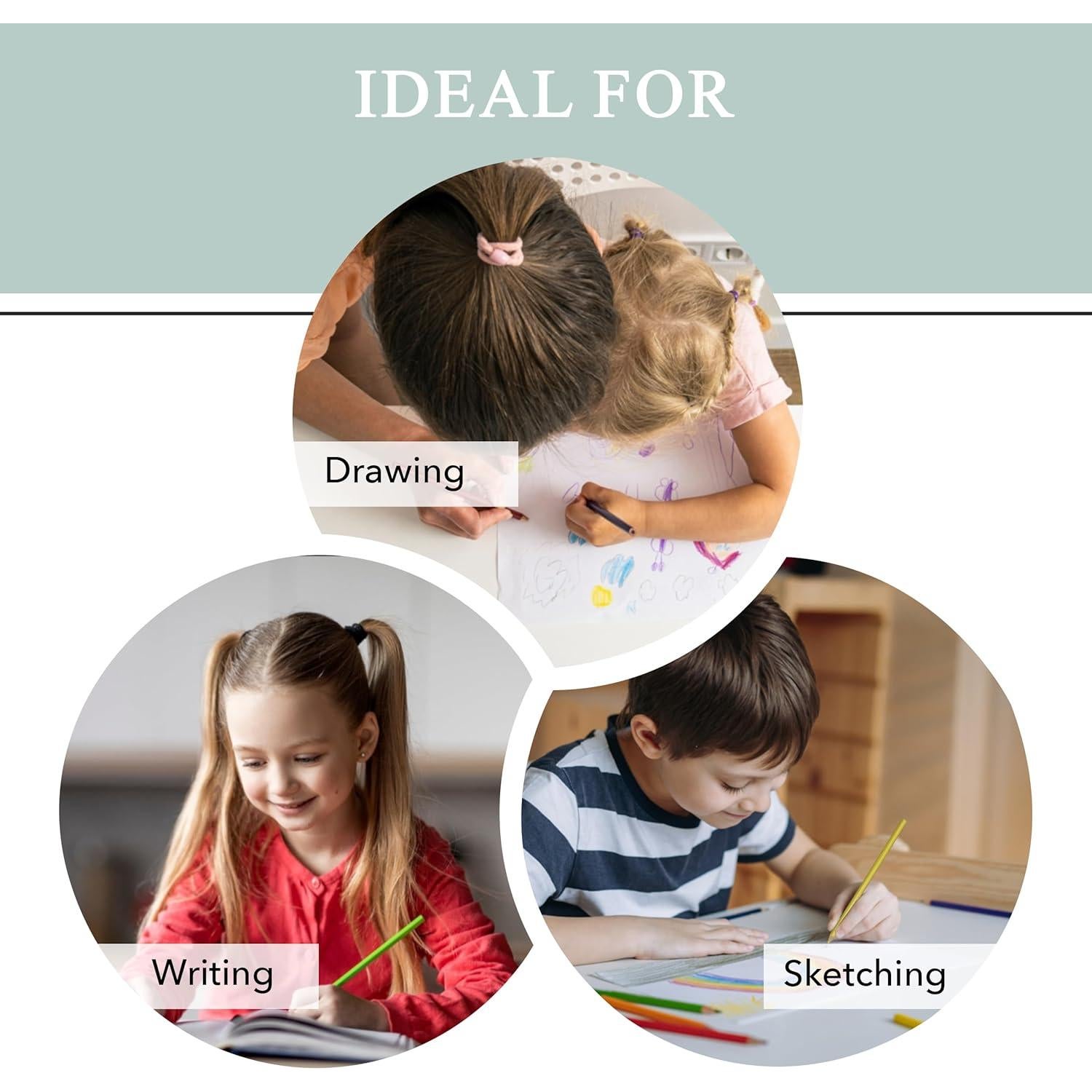 Set de Lápices de Colores Three Leaf 12 Unidades Calidad Premium