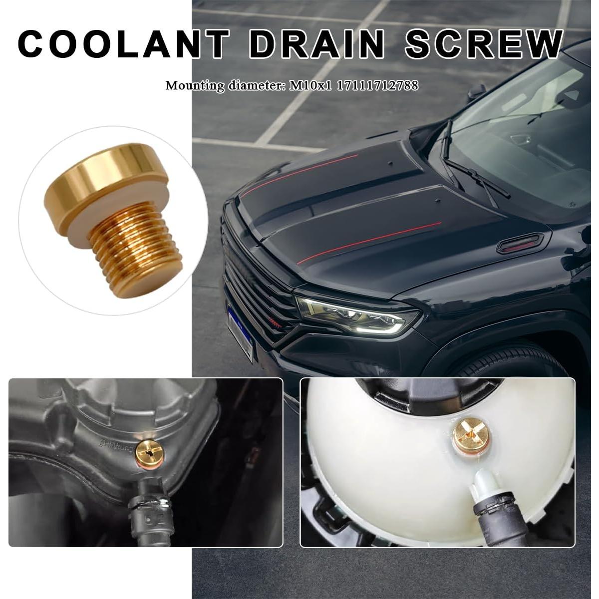 Tornillo de Purga de Refrigerante FSTURIOS M6x1.0 Dorado