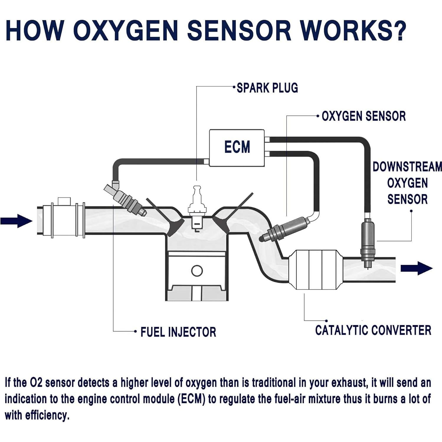Sensor de Oxígeno HiSport O2 para BMW X3 X5 Z4 250-24713