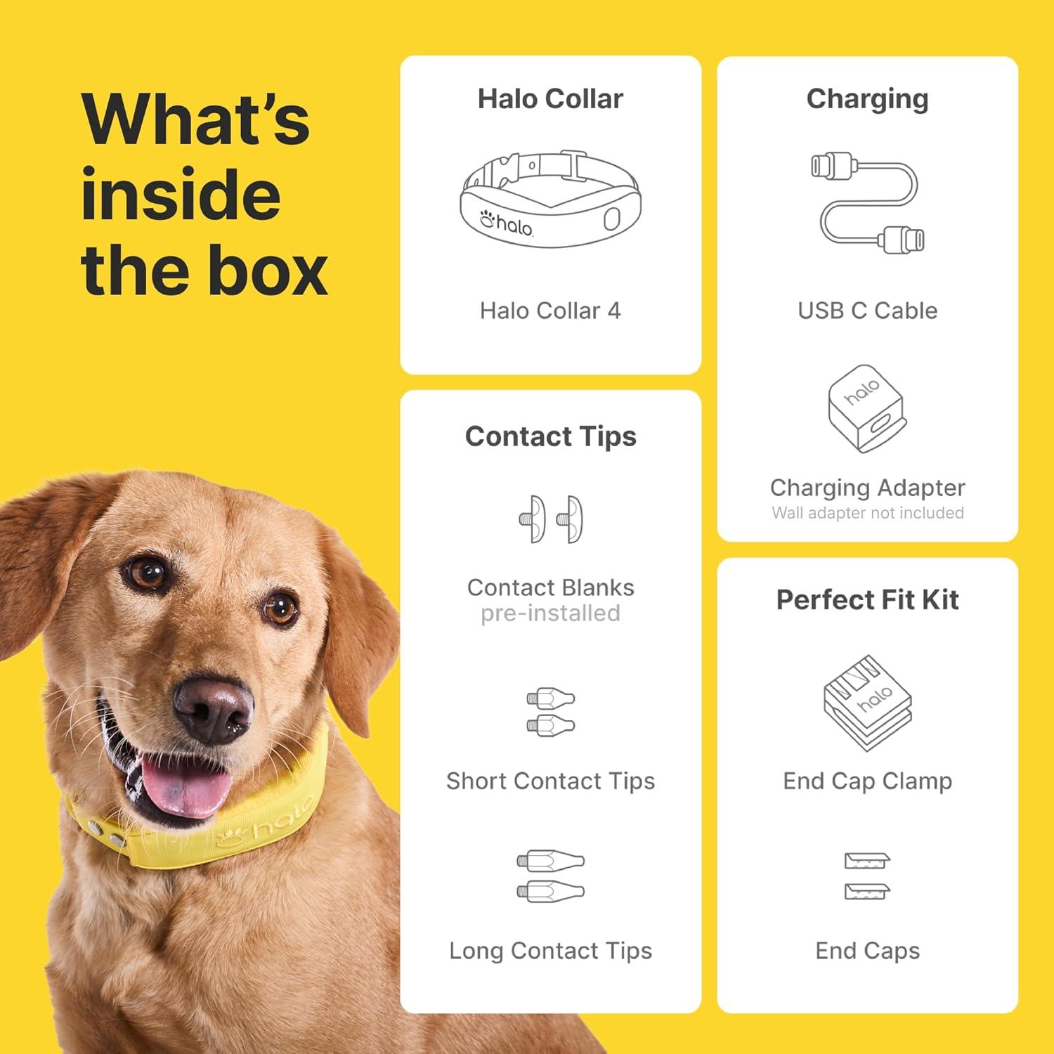 Collar Halo 4 para Perros con GPS y Entrenamiento - Talla Única