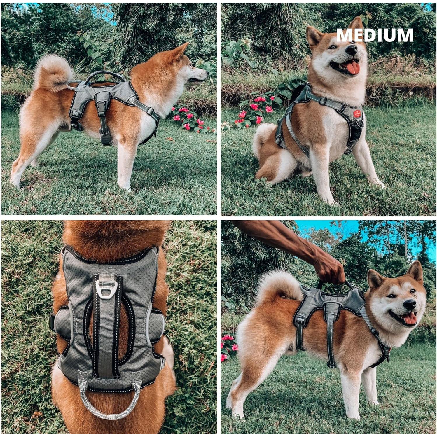 Arnés para Perros Tuff Pupper Mediano Ajustable y Acolchado