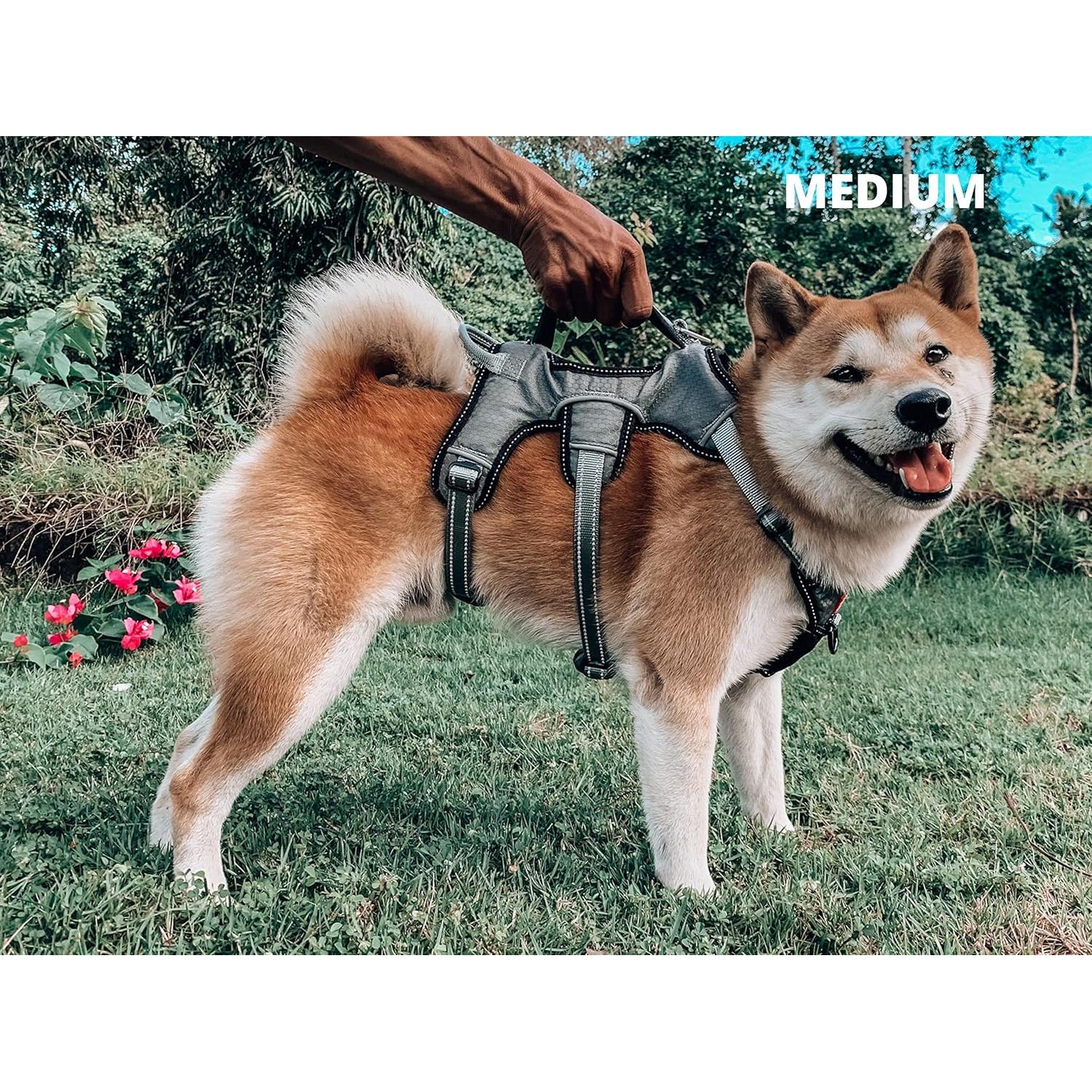 Arnés para Perros Tuff Pupper Mediano Ajustable y Acolchado