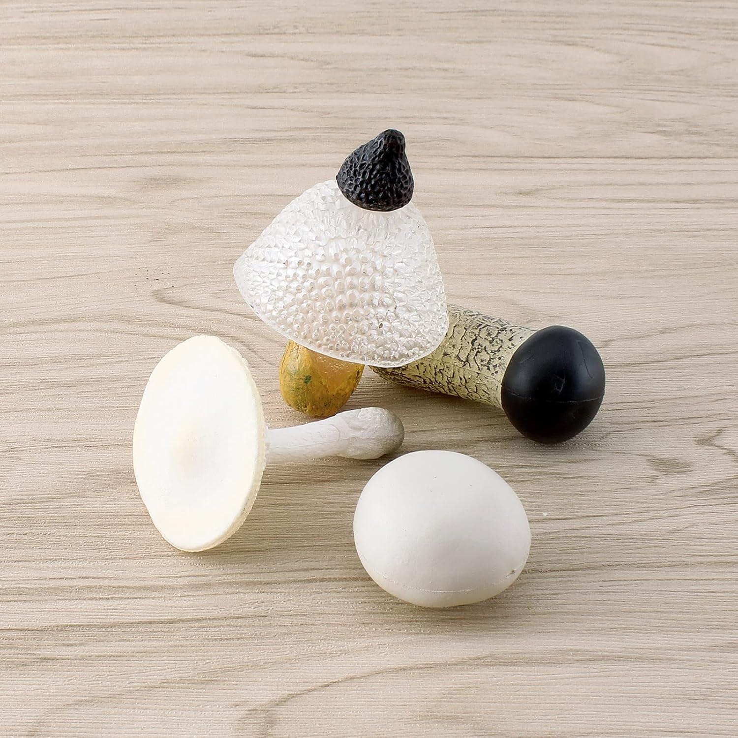 Set de Juguetes Educativos de Ciclo de Vida de Hongo 4PCS