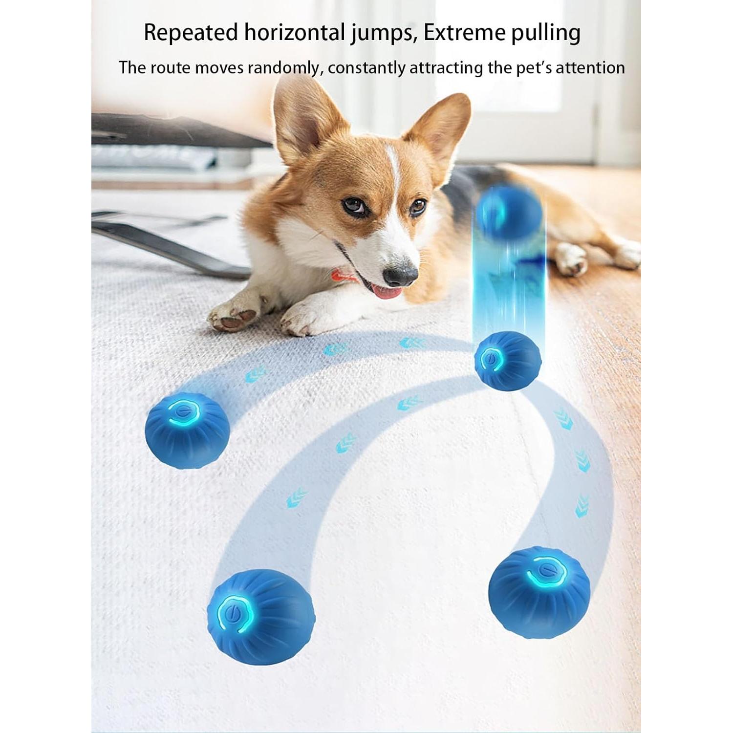 Pelota LED Interactiva para Perros Winb 5.2 cm Recargable USB