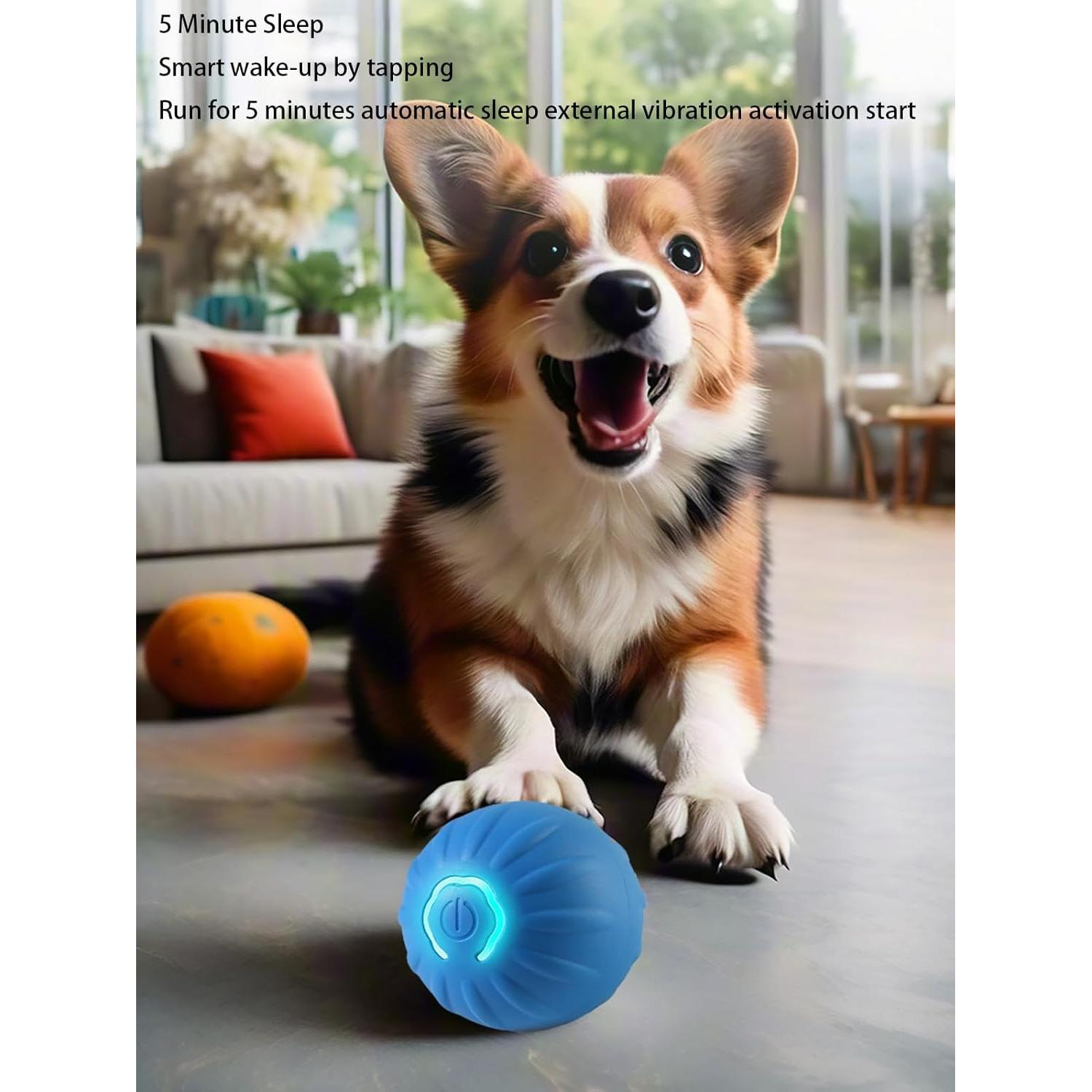 Pelota LED Interactiva para Perros Winb 5.2 cm Recargable USB