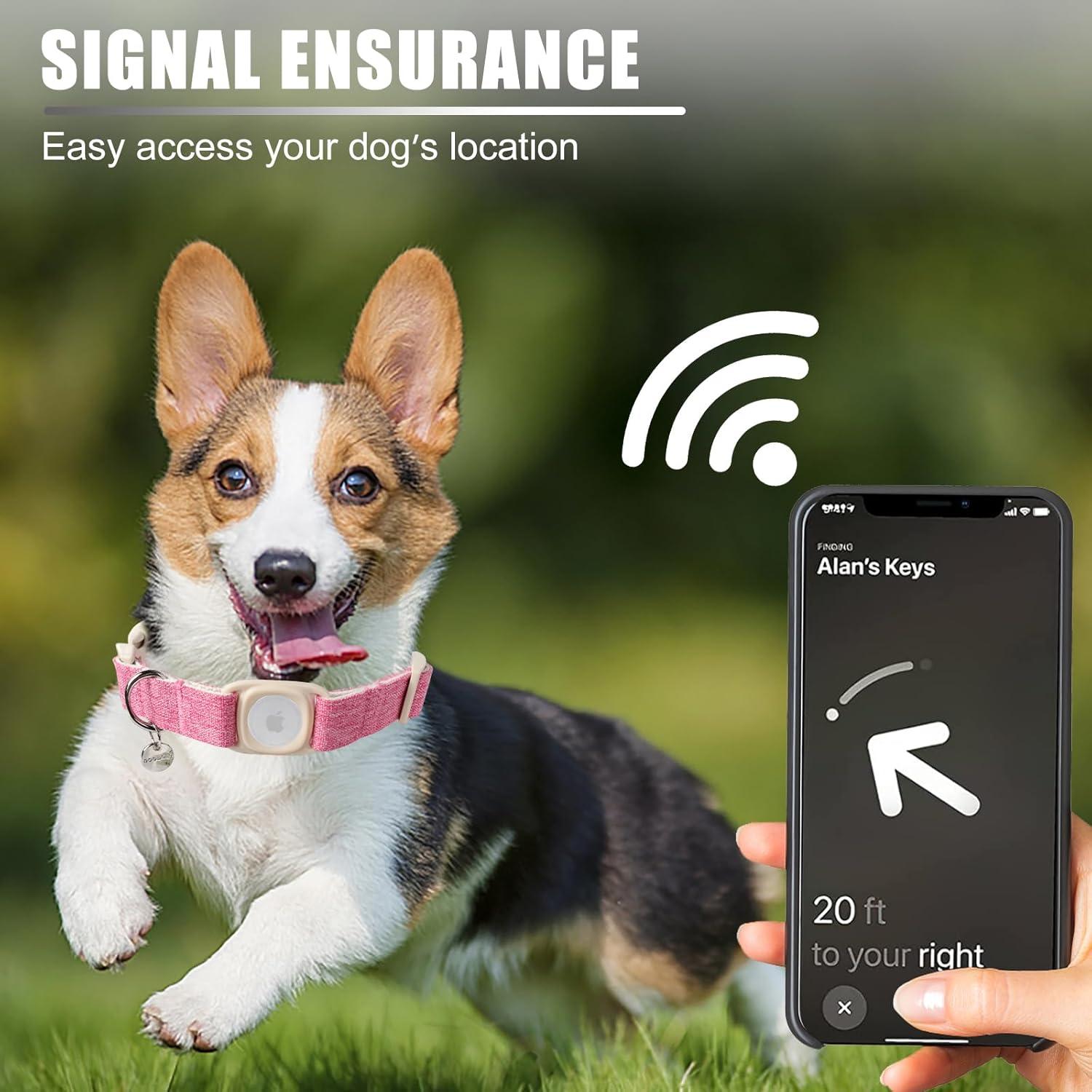 Collar para Perro DOGWONG Mediano Rosa con Soporte Airtag