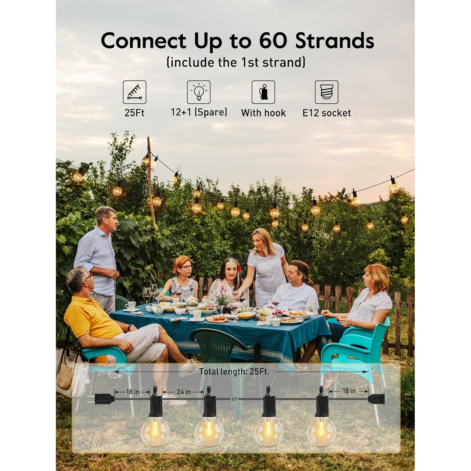 Luces de Cadena LED Brightown 25 pies Negro 12 Bombillas