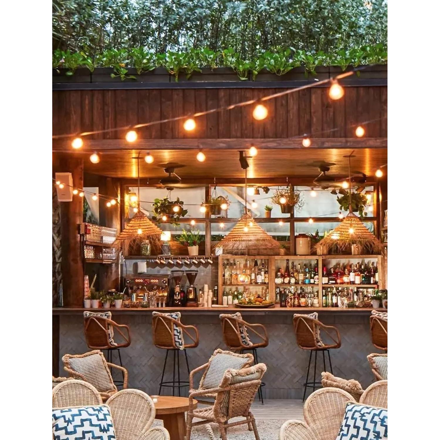 Luces de Cadena LED Brightown 25 pies Negro 12 Bombillas