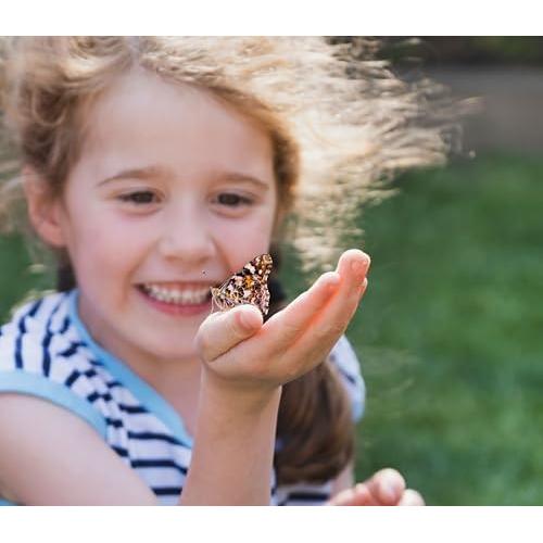 Jardín de Mariposas Gigante Insect Lore 45.72 cm con Vale