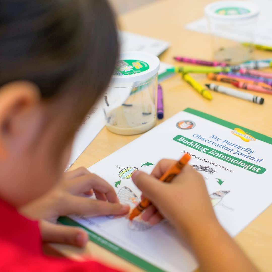 Jardín de Mariposas Gigante Insect Lore 45.72 cm con Vale