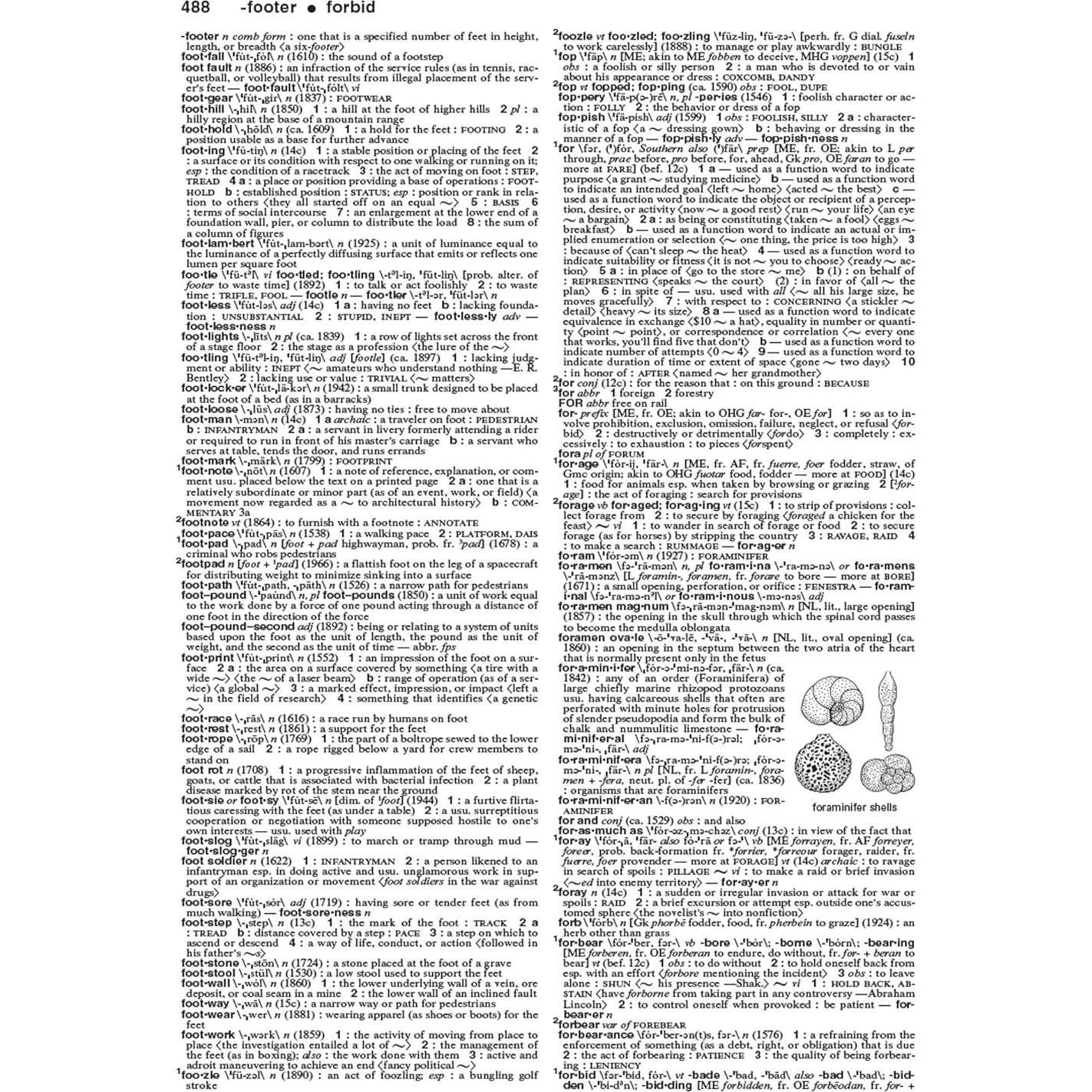 Merriam-Webster's Collegiate Dictionary, 11th Edition, Laminated Hardcover, Plain-Edged