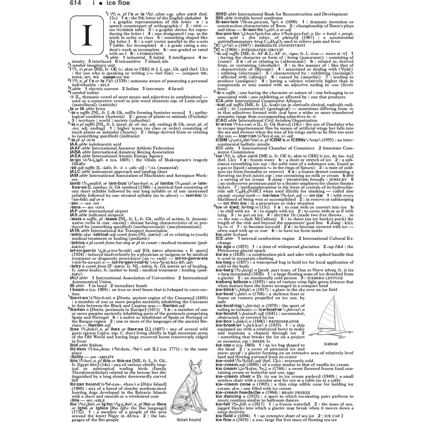 Merriam-Webster's Collegiate Dictionary, 11th Edition, Laminated Hardcover, Plain-Edged