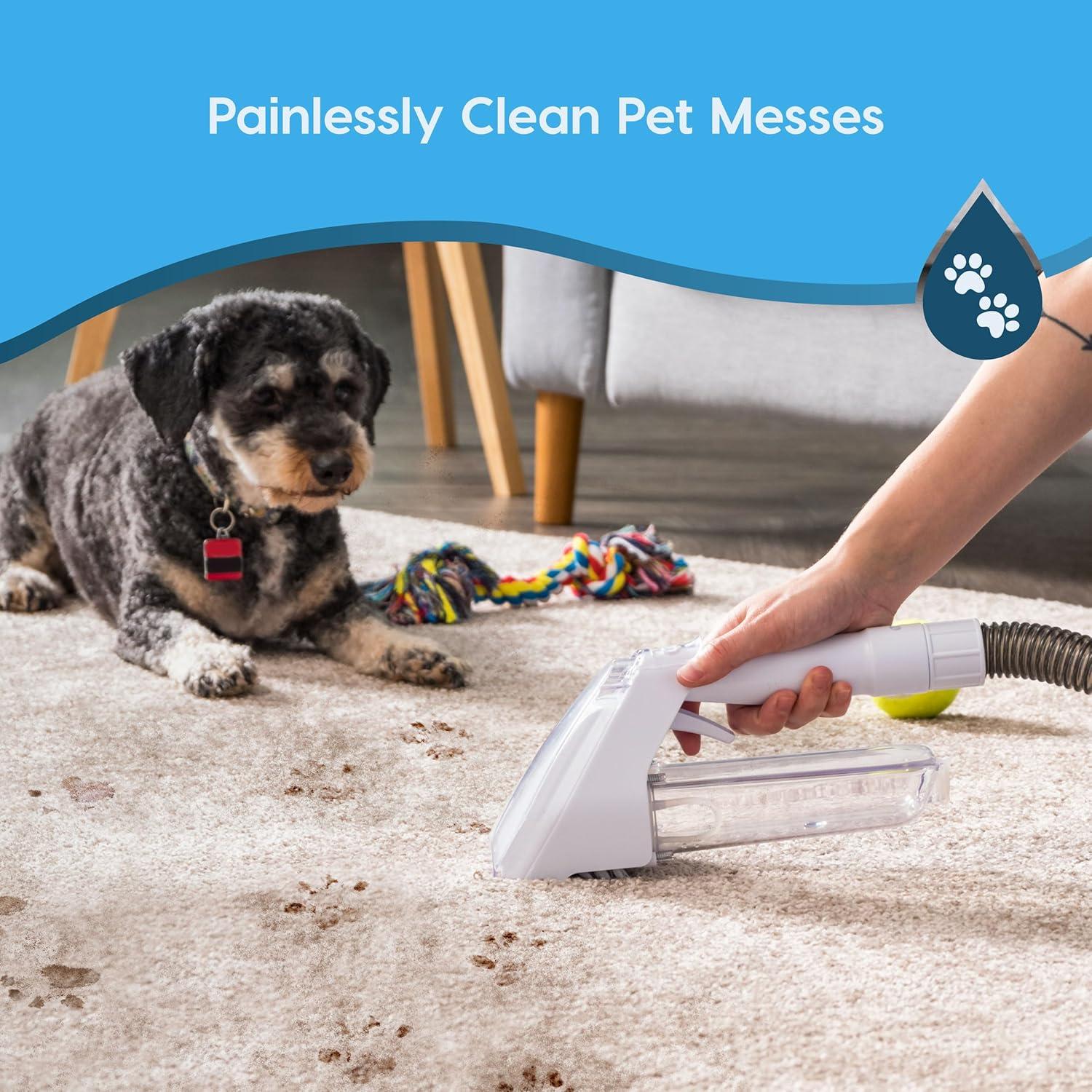 Limpiadora de Manchas IRIS USA RNS-300 500mL Sin Químicos