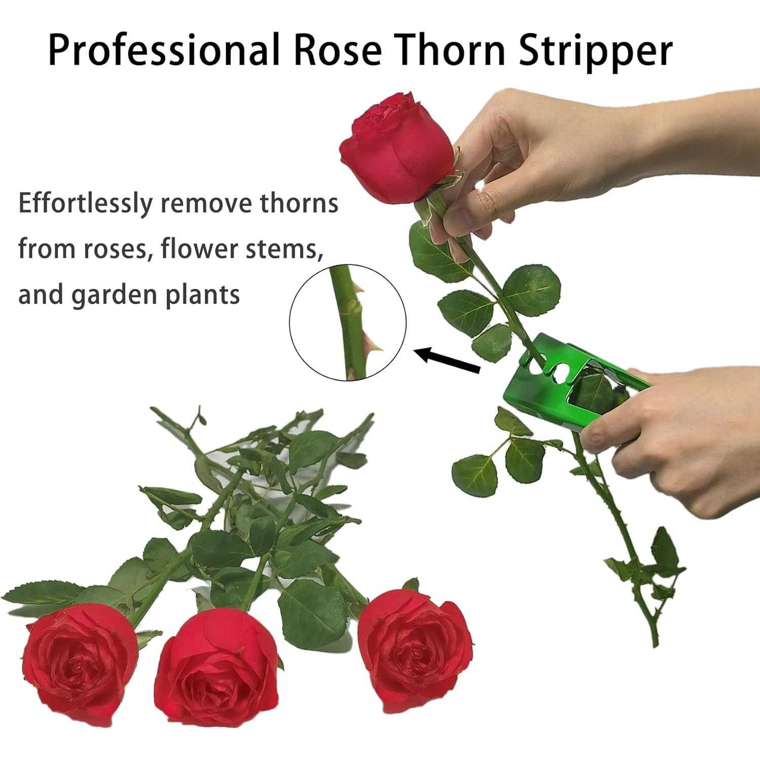 Herramienta Desprendimiento de Espinas de Rosa Yinglejia 3 Piezas