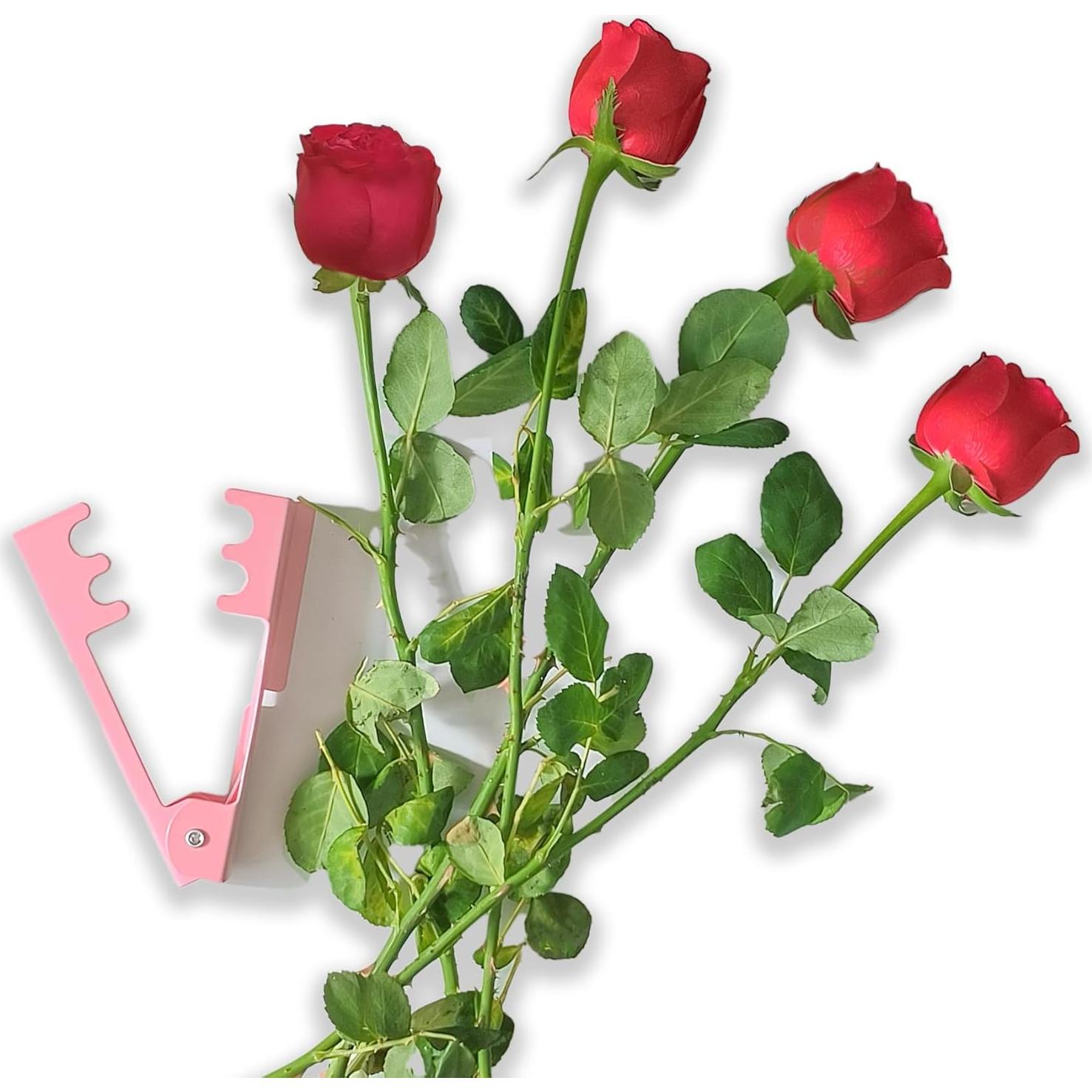 Herramienta Desprendimiento de Espinas de Rosa Yinglejia 3 Piezas