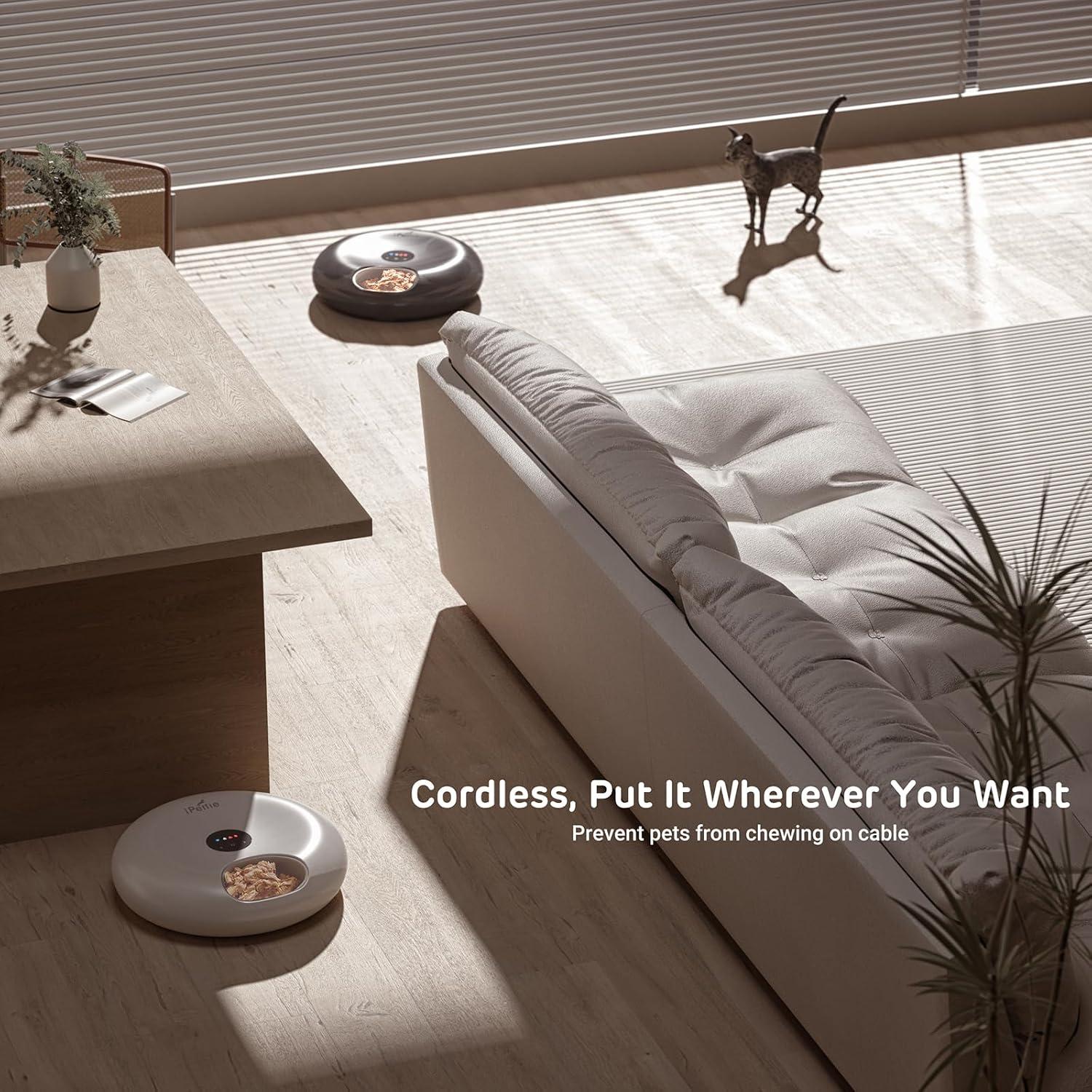 Dispensador Automático de Comida iPettie Donut Frost WiFi