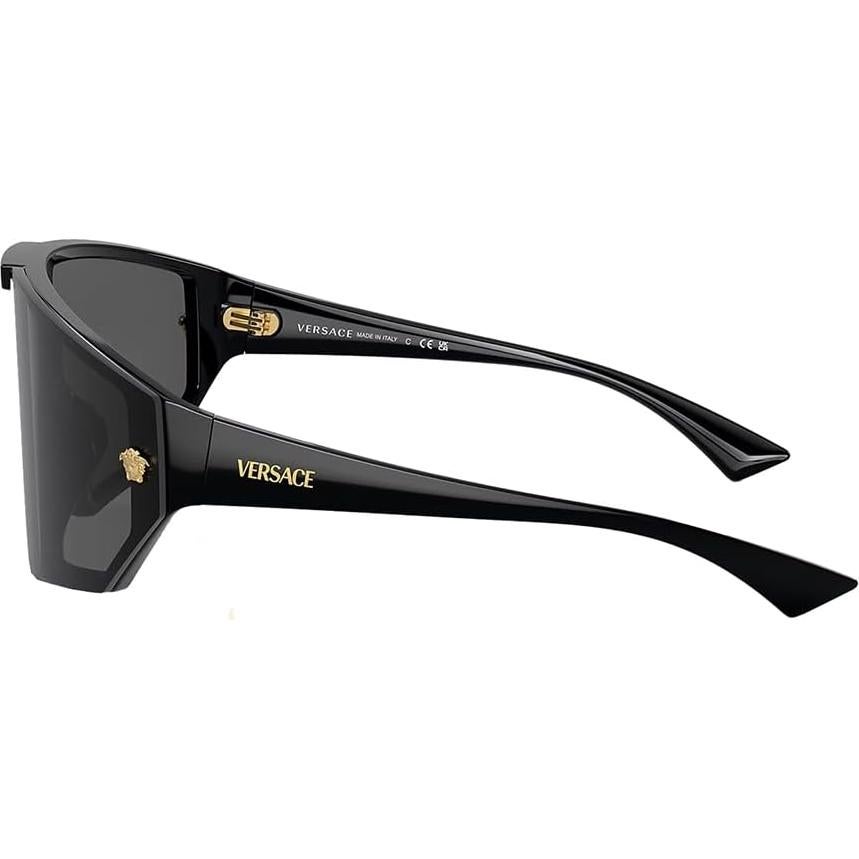 Gafas de sol Versace VE 4461 GB1/87 plástico negro lente gris