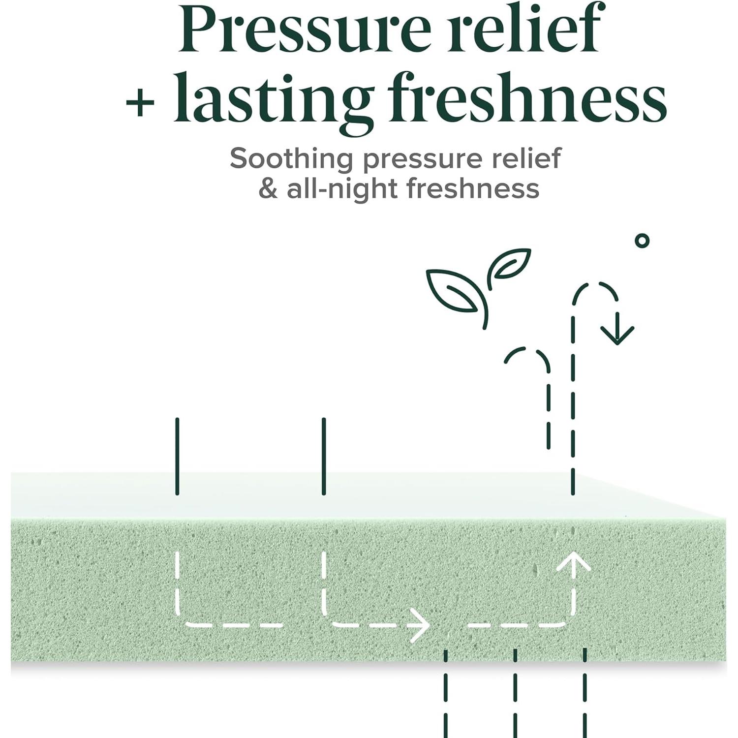 Colchón ZINUS Espuma Viscoelástica 30.5 cm Twin XL Té Verde