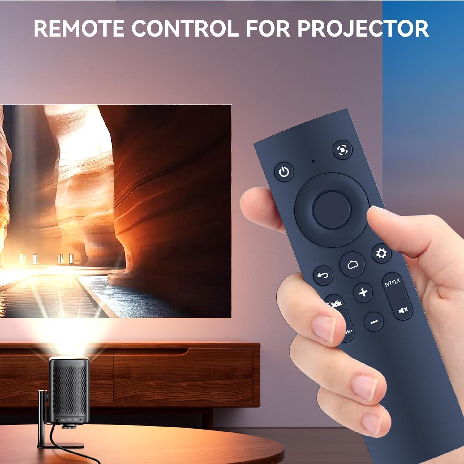 Control Remoto PZL para Proyector Anker D0442X D2342 D2351