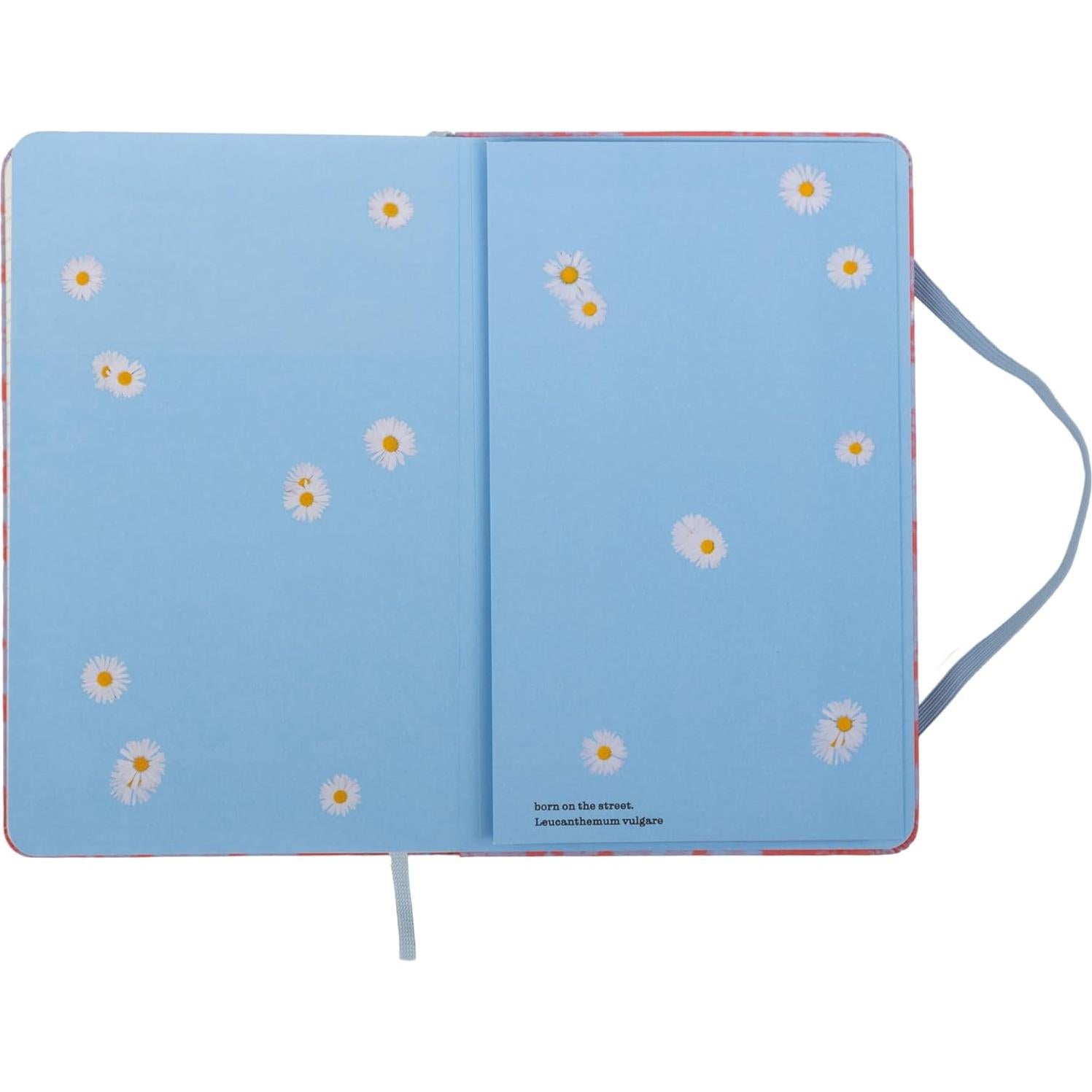 Cuaderno Moleskine Tapa Dura Rayado Grande 240 Páginas Lavanda