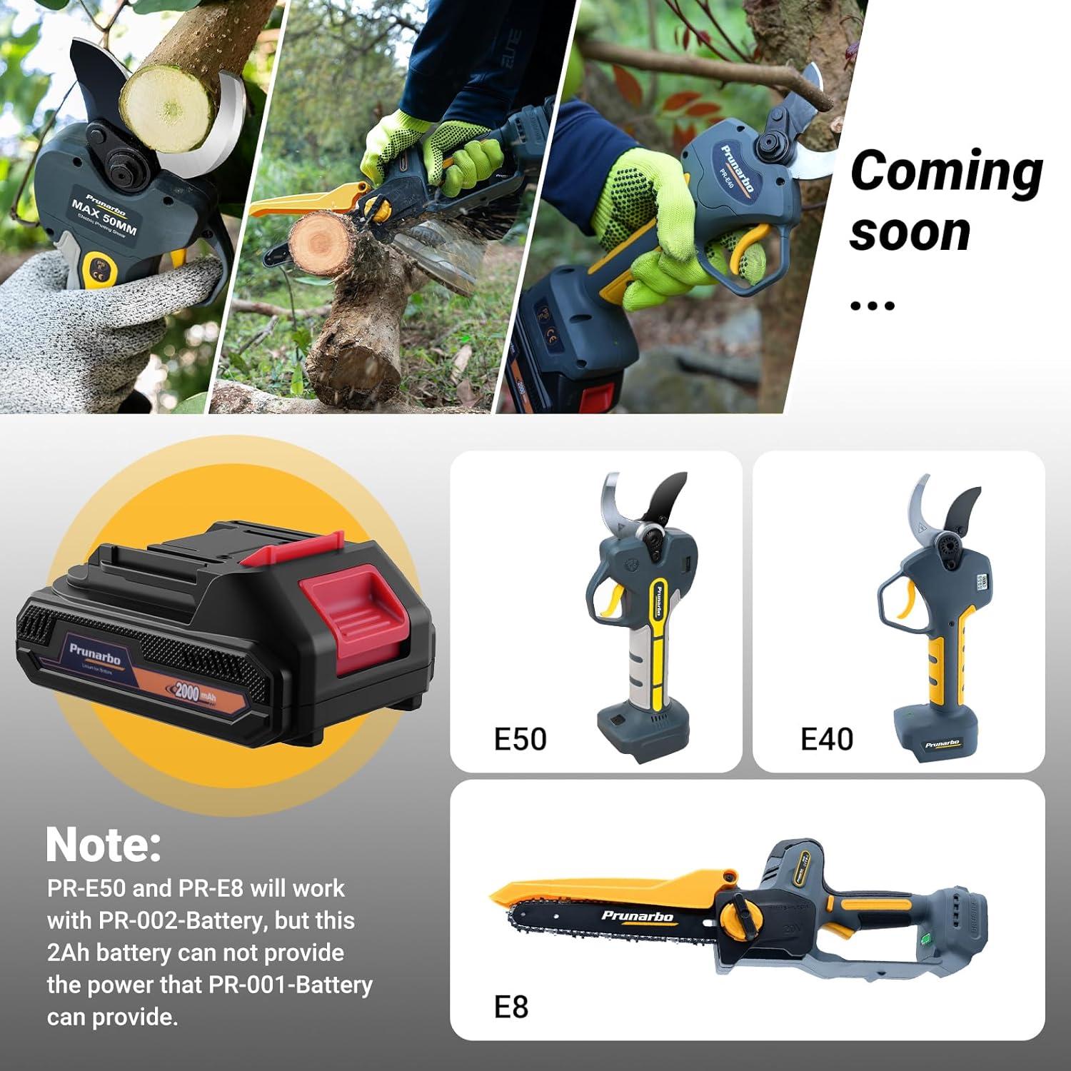 Batería de Litio 21V 2Ah Prunarbo PR-002 para Herramientas