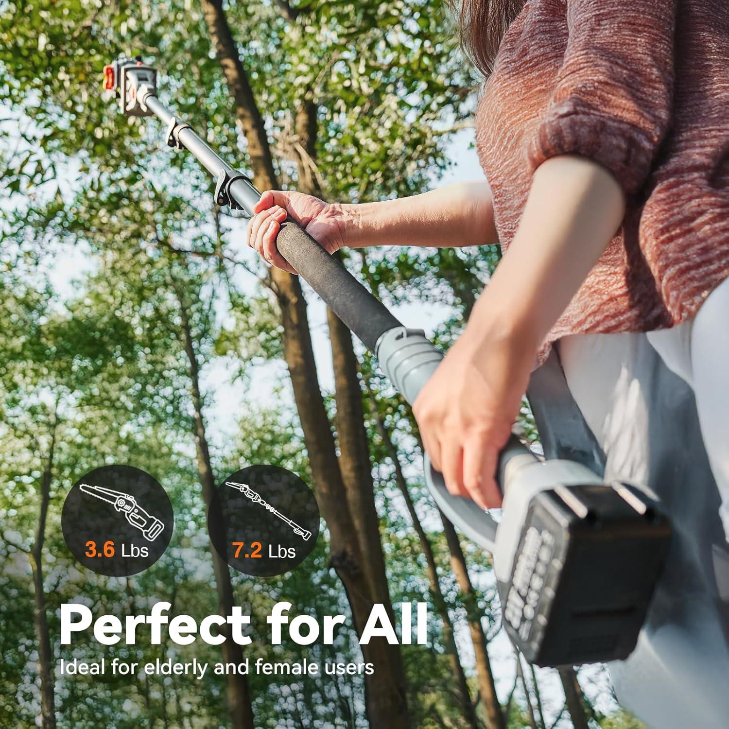 Sierra de Poste 2-en-1 TaskStar 8" Inalámbrica con Baterías