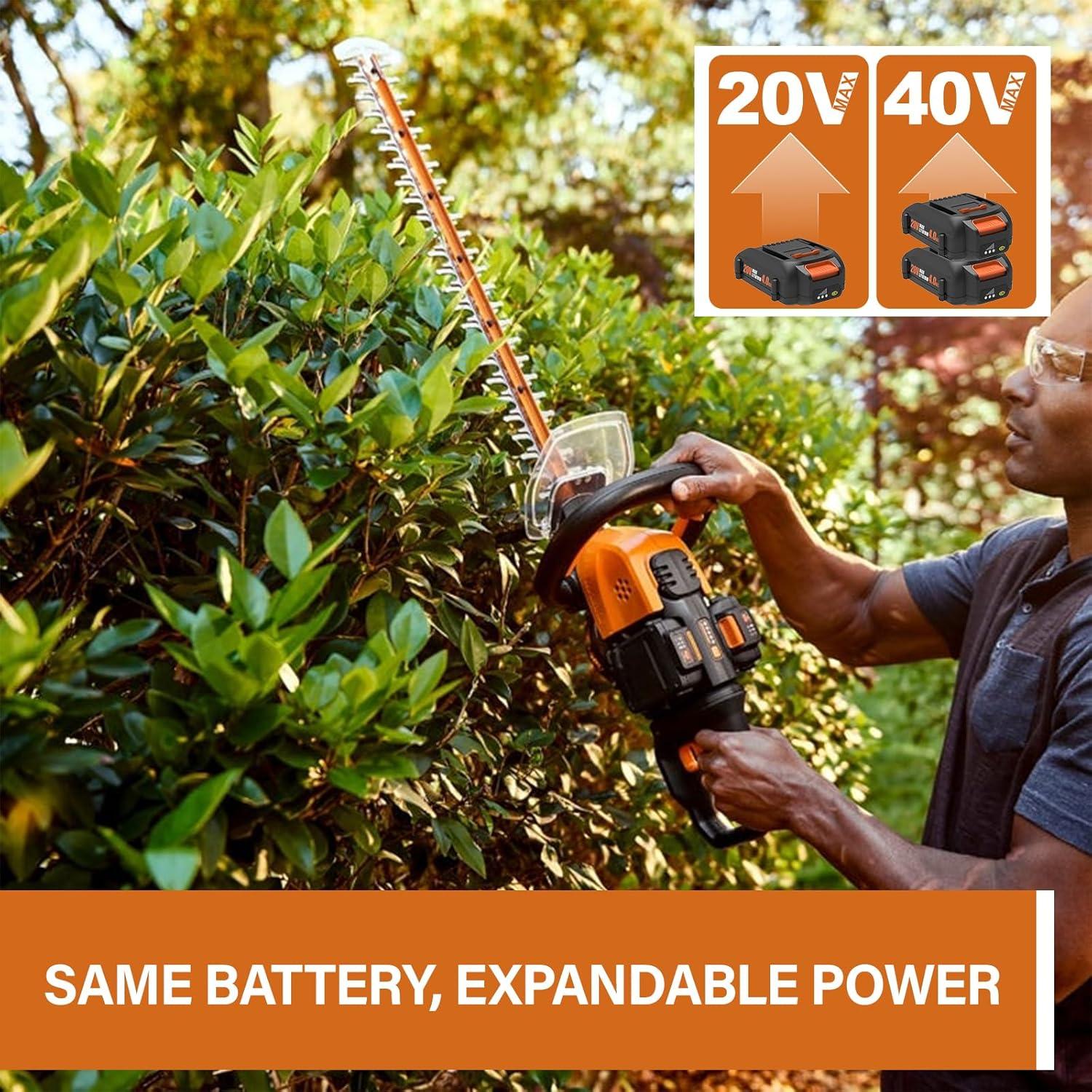 Paquete de 2 Baterías Litio 20V 4.0Ah y Cargador Bakipante