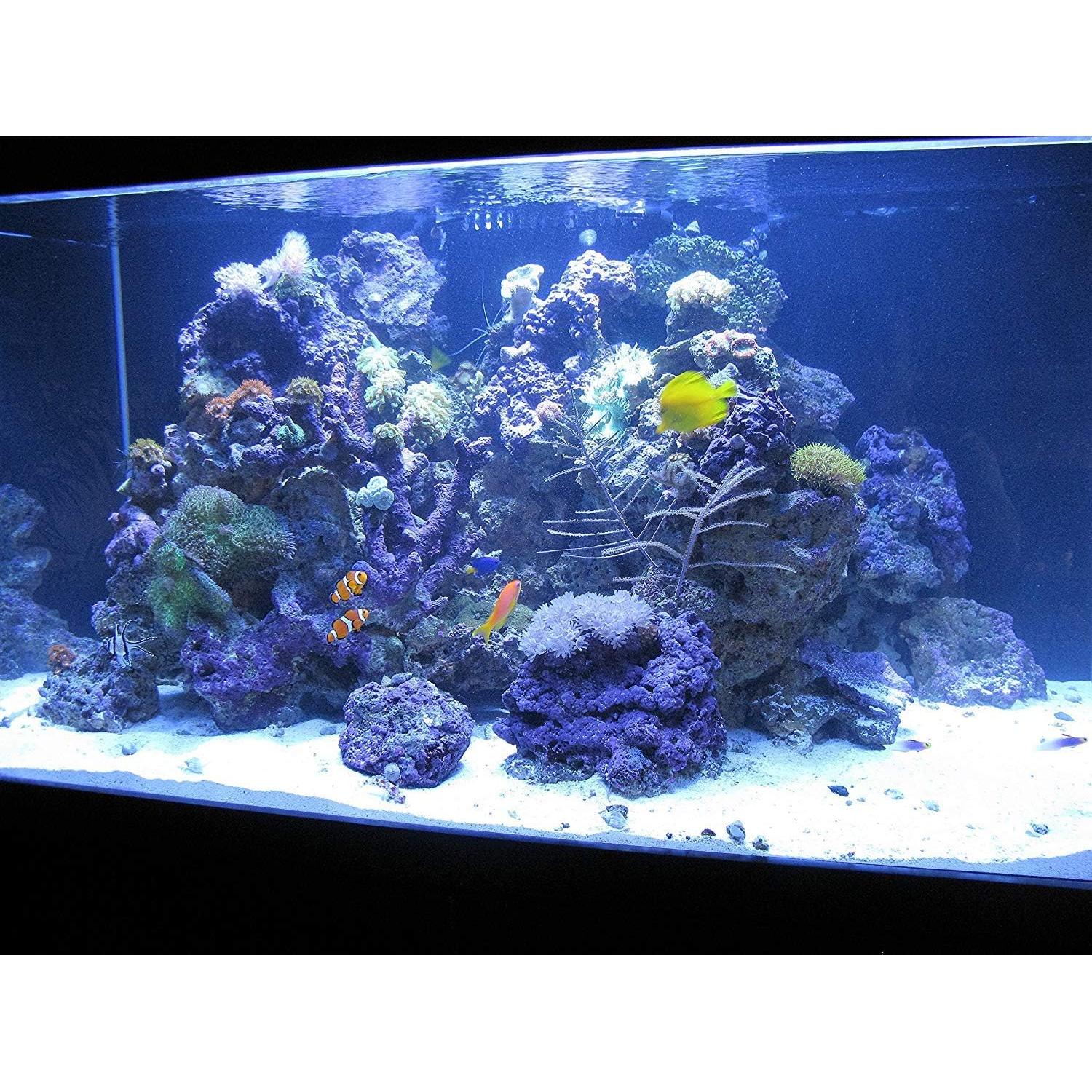 Filtro Kolar Labs Clear 2 Paquete 378.5L Acuarios Mediano