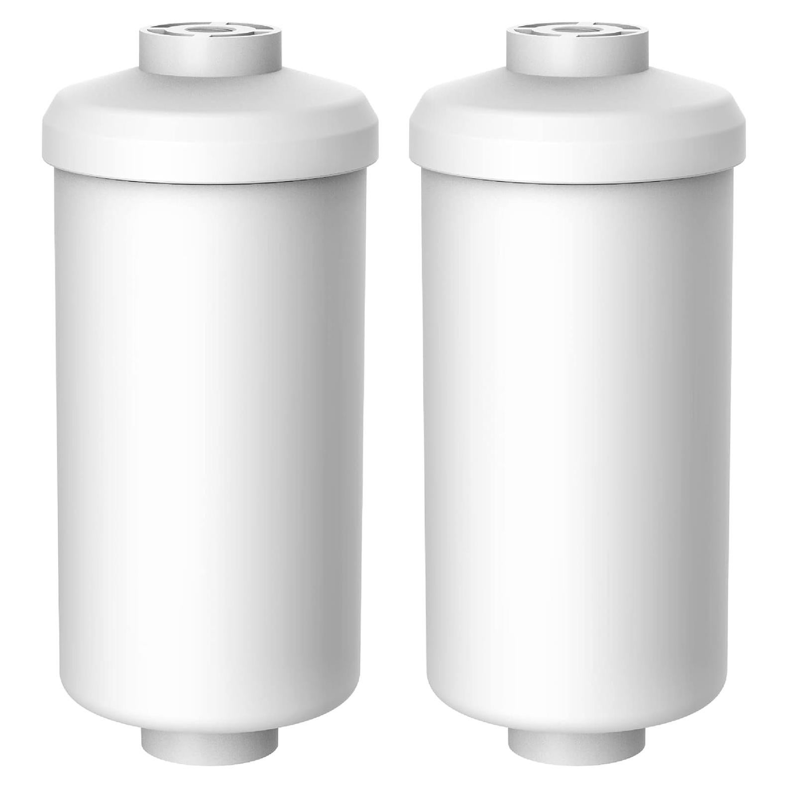 Filtro de Agua de Fluoruro Filterlogic FL-BF79 - Reemplazo Berkey PF-2