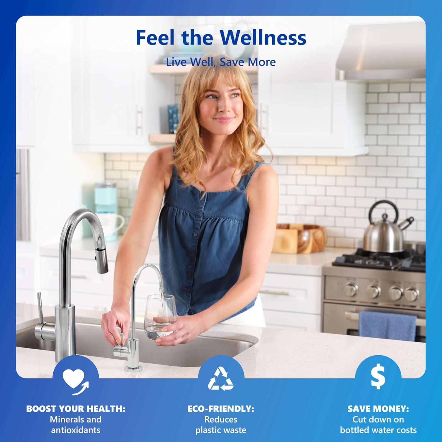 Sistema de Filtro de Agua por Ósmosis Inversa Express Water ROALK10M