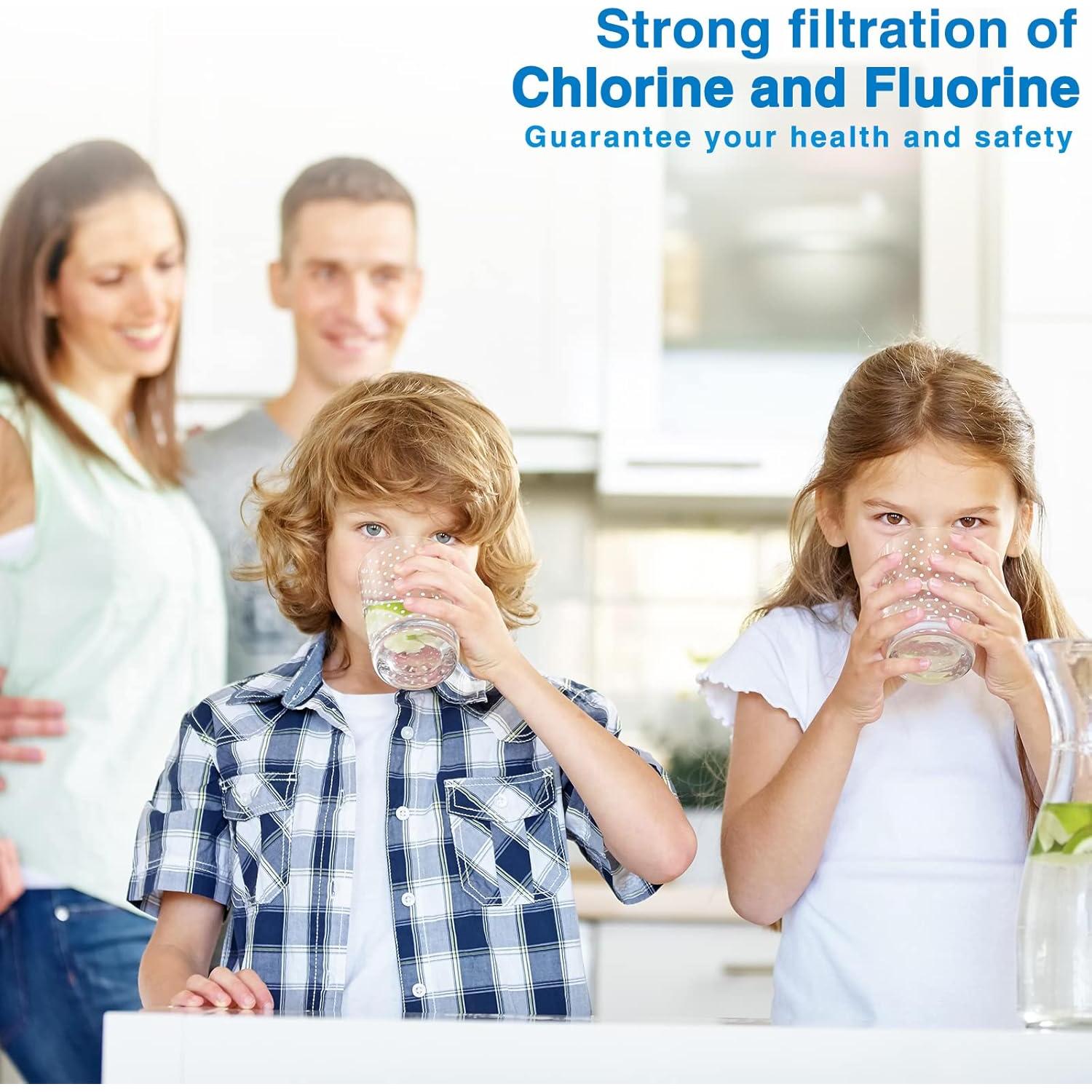 Filtro de Agua DTESL para Berkey - 4 Filtros Negros y 4 de Fluoruro