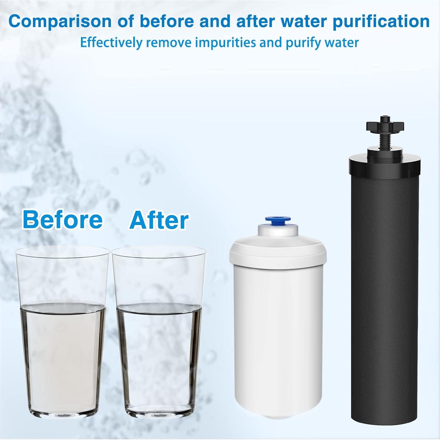 Filtro de Agua DTESL para Berkey - 4 Filtros Negros y 4 de Fluoruro