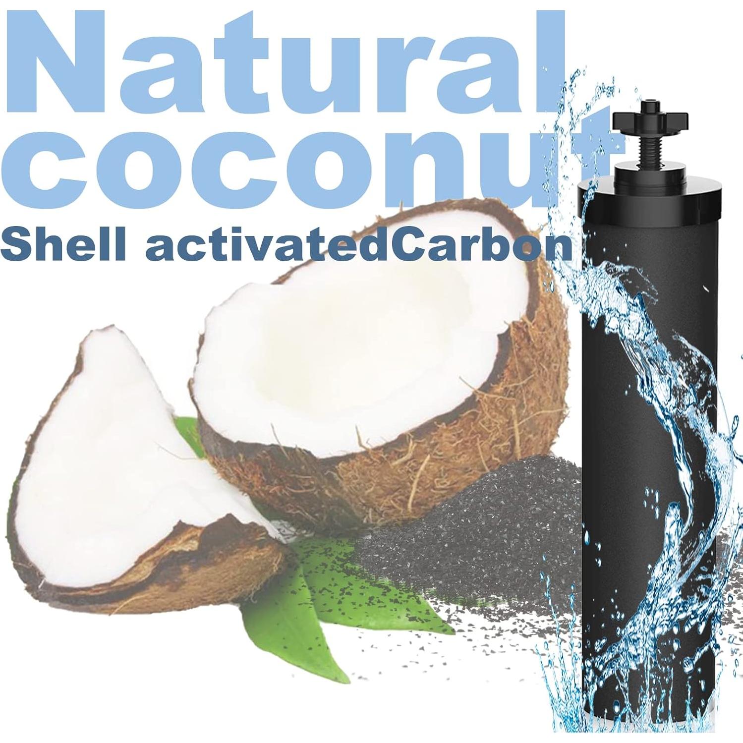 Filtro de Agua DTESL para Berkey - 4 Filtros Negros y 4 de Fluoruro