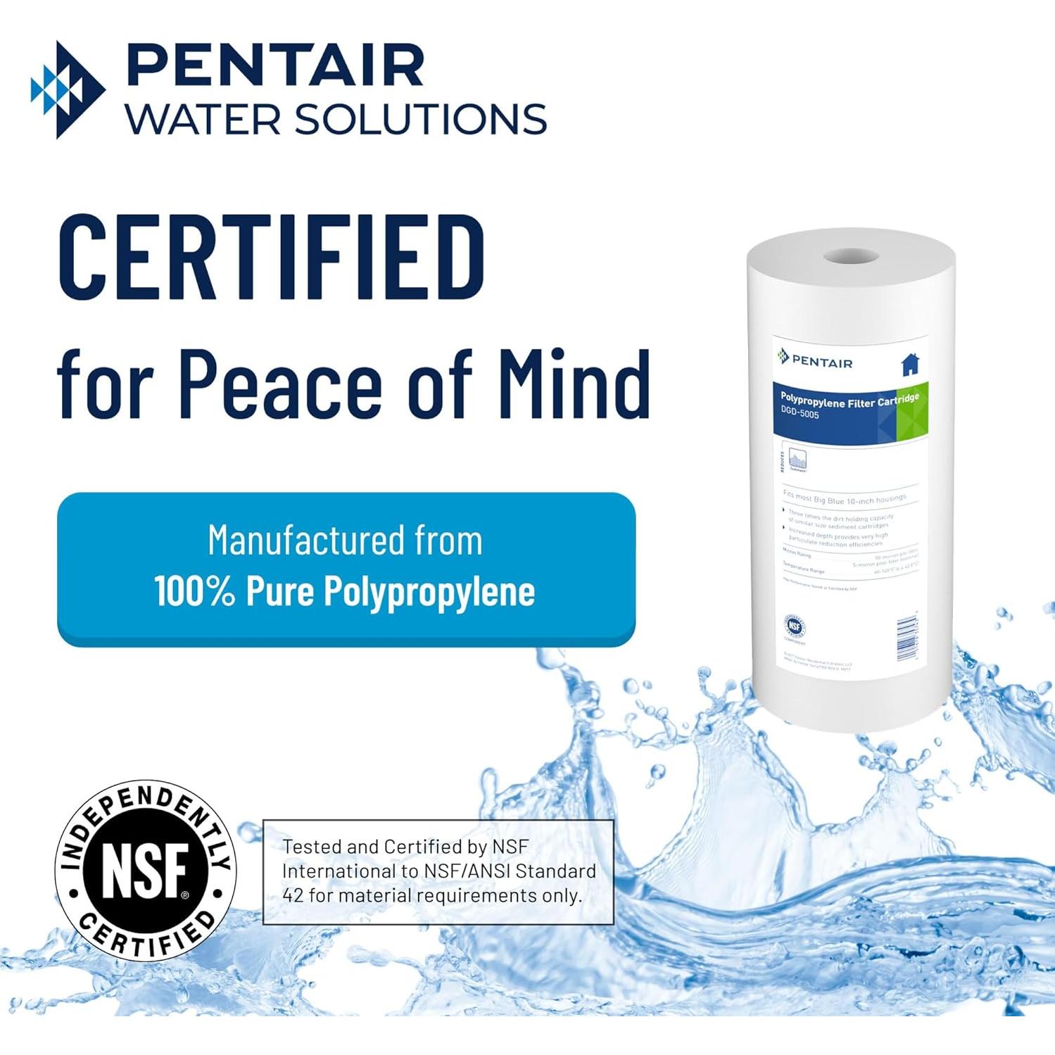 Filtro de Agua Pentair Pentek DGD-5005 Big Blue 10" 5 Micrones