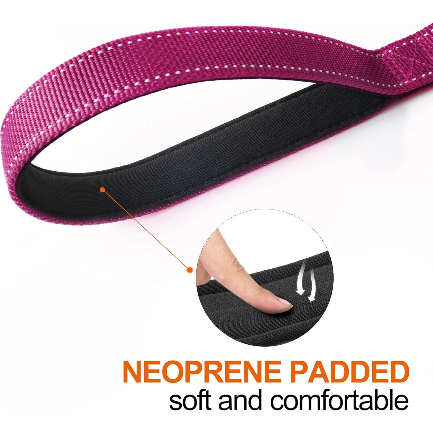 Correa para Perro Rosa TwoEar 4 Pies 2,54 cm Acolchada