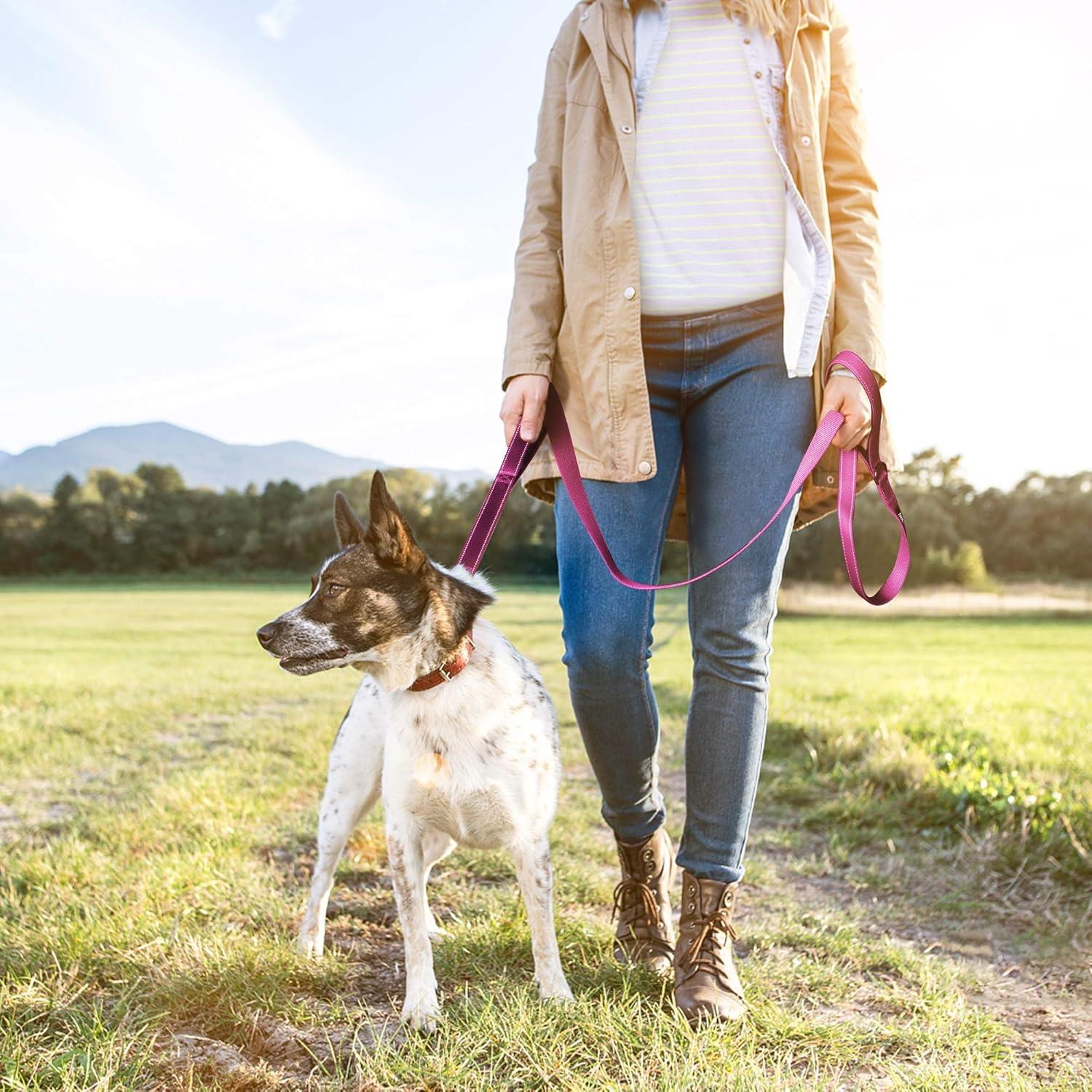 Correa para Perro Rosa TwoEar 4 Pies 2,54 cm Acolchada