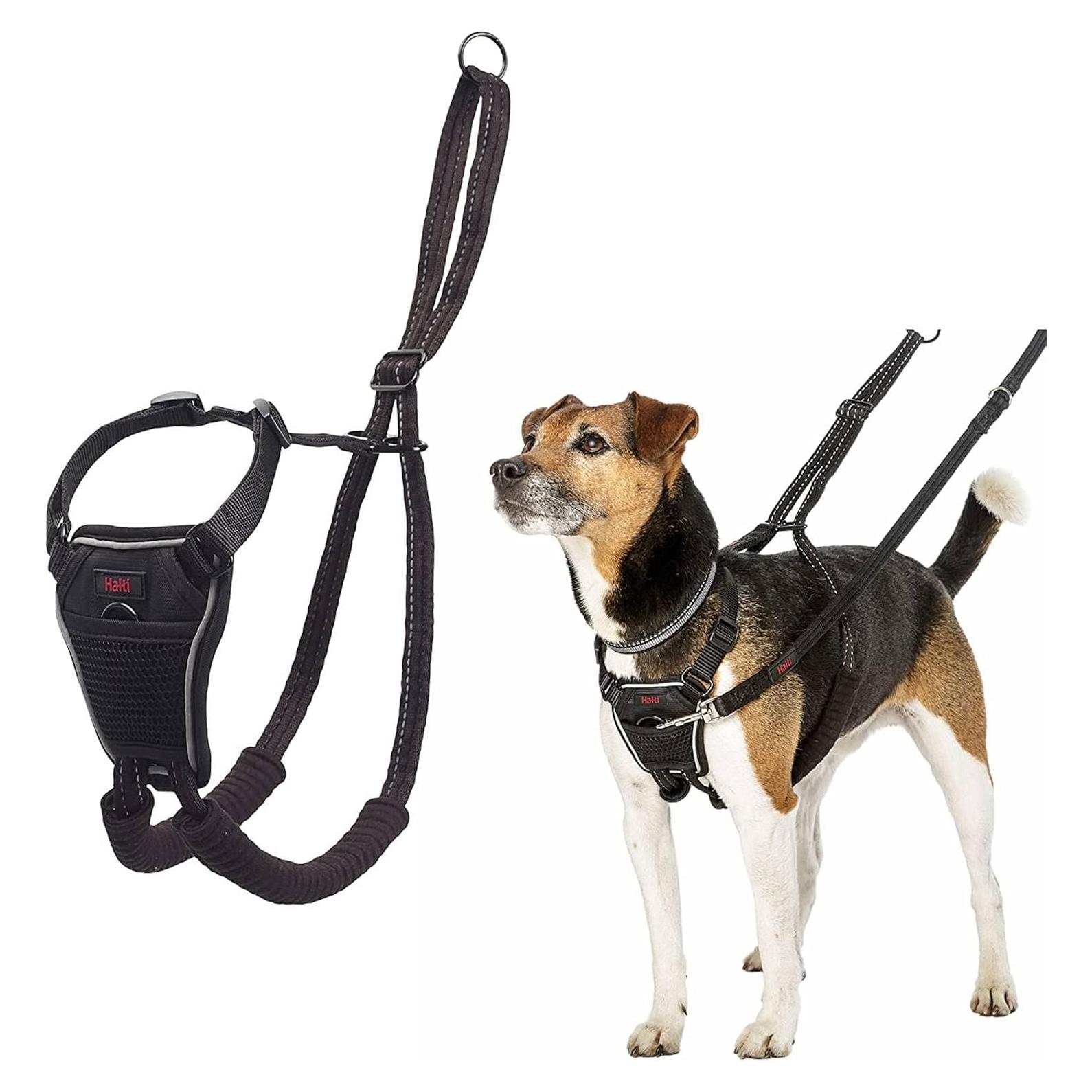 Arnés Halti Sin Tirones - Ajustable y Reflectante S