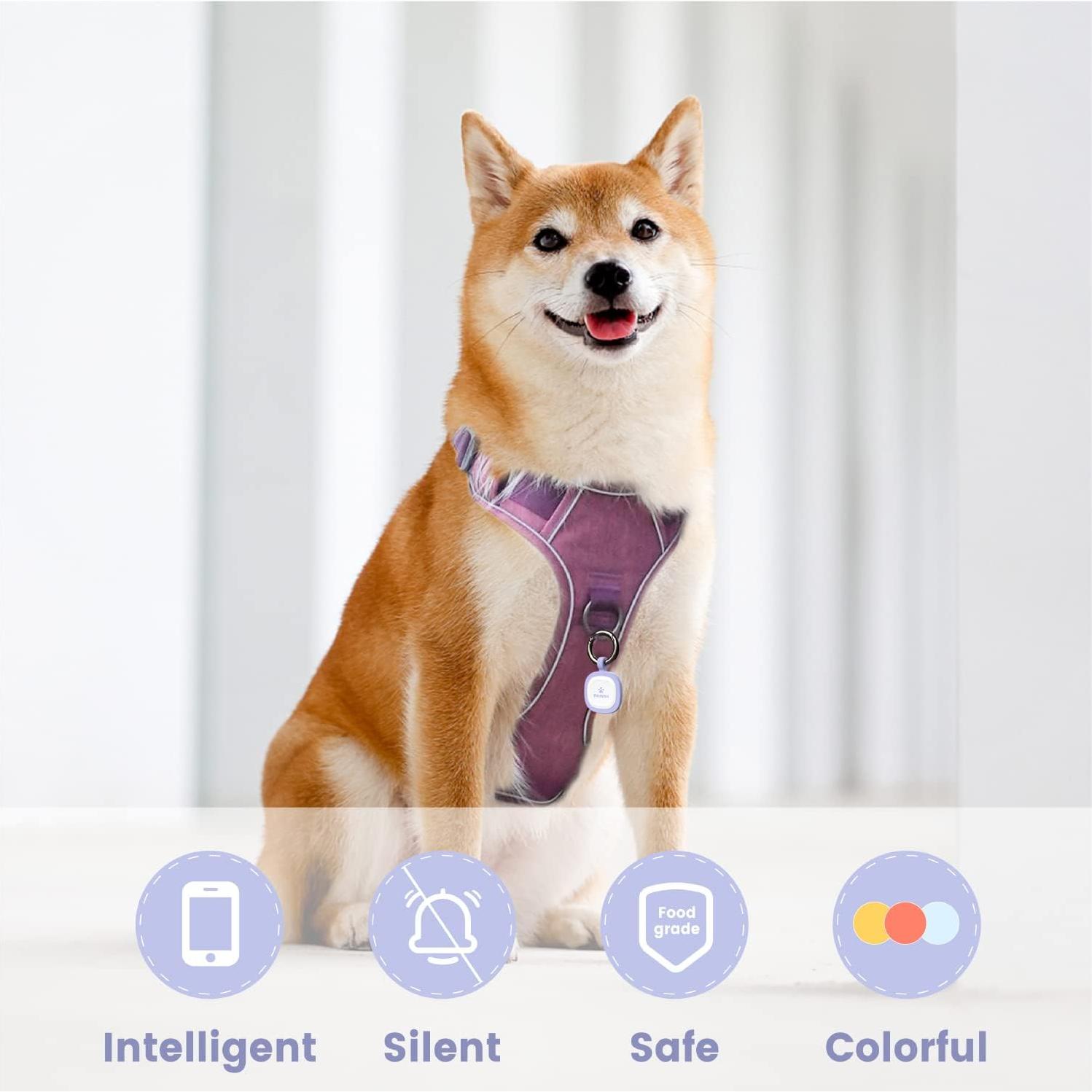 Etiqueta Identificación Mascotas Pawaii QR Silicona Púrpura