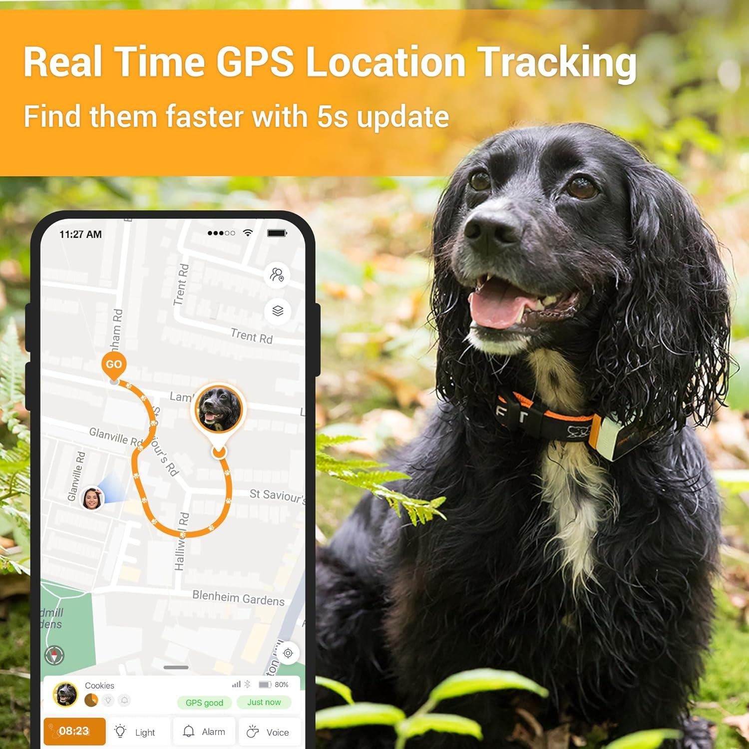 Rastreador GPS Pawfit 3 para Mascotas 4G Impermeable