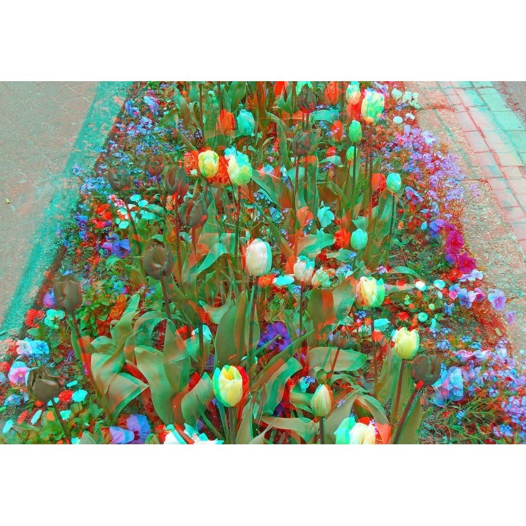 Gafas 3D EasiLife - 10 Pares Anaglifo Rojo y Cian