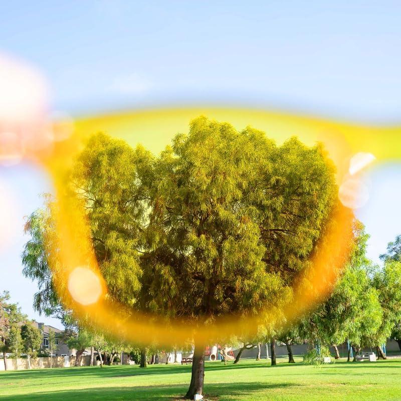 Paquete de 10 Gafas de Terapia de Color Silimojay - Cromoterapia