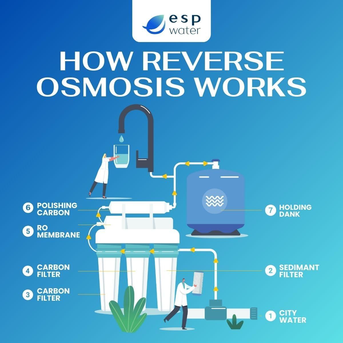 Kit de Reemplazo de Filtro Proline Gold RO - 4 Filtros de Agua