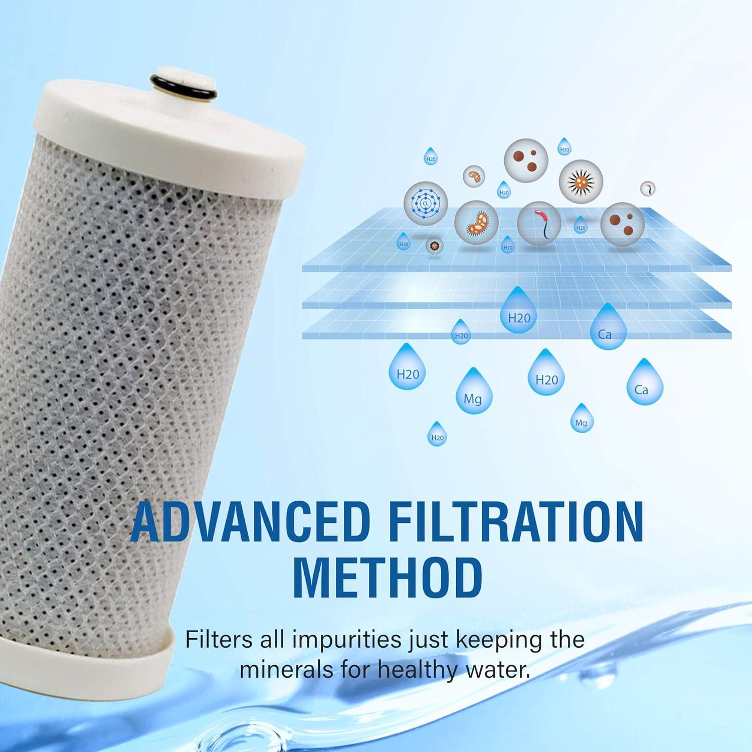 Filtro de agua Swift Green SGF-WFCB Rx para Frigidaire y Kenmore