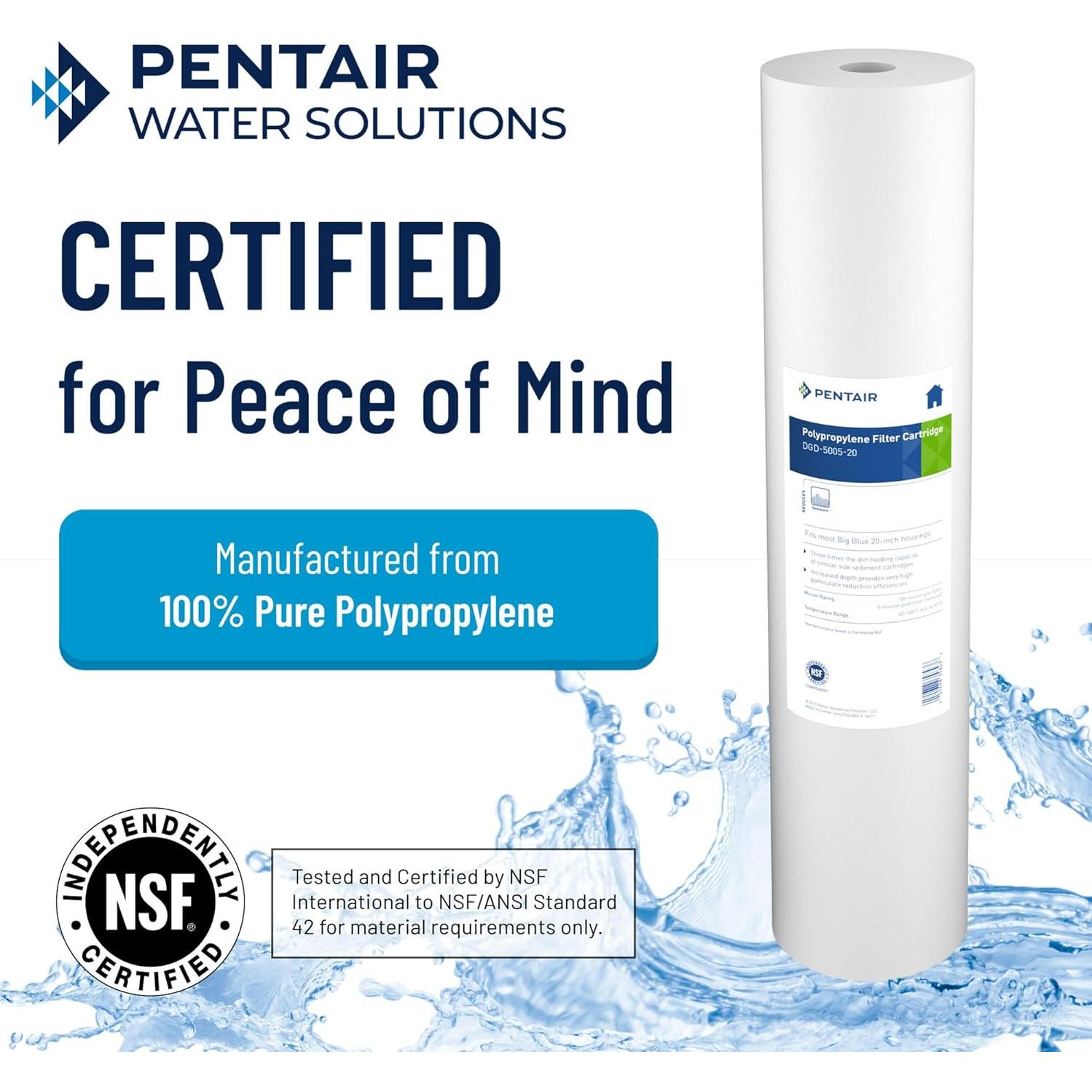 Filtro de Agua Pentair Pentek DGD-5005-20 Big Blue, 5 Micrones, Paquete de 2