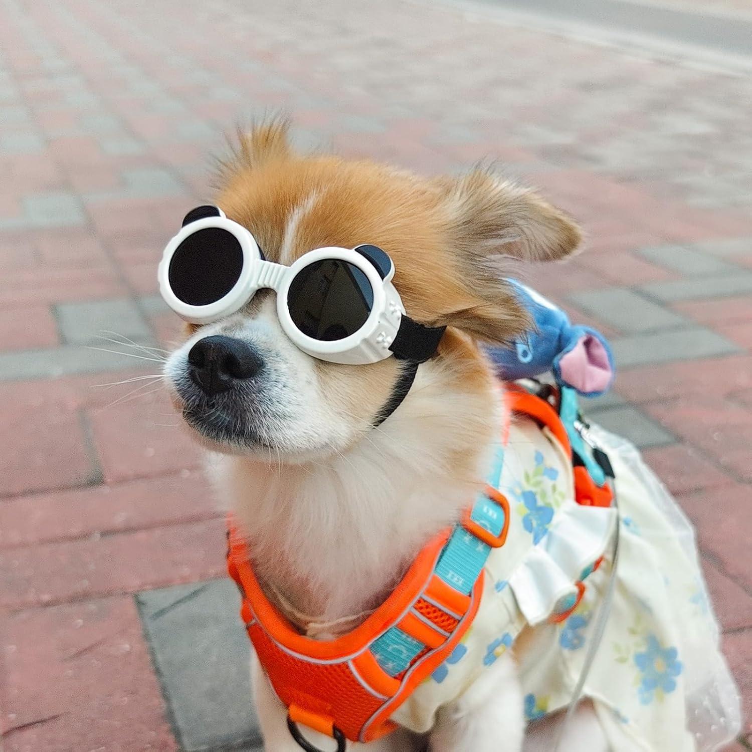 Gafas para Perros Enjoying Panda Blanco UV 6kg Ajustables