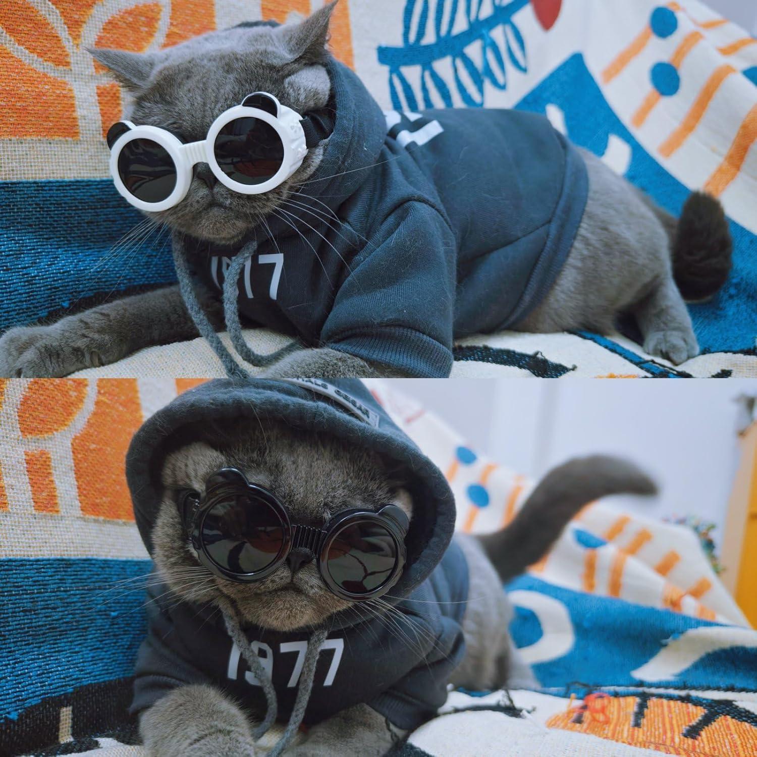 Gafas para Perros Enjoying Panda Blanco UV 6kg Ajustables