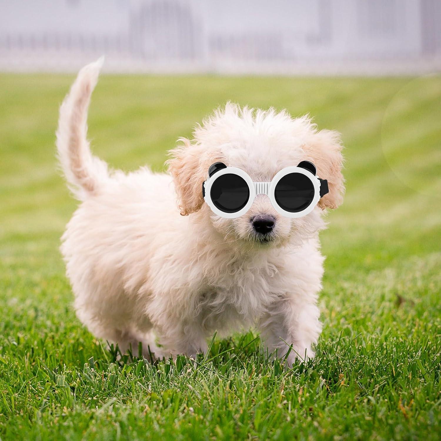 Gafas para Perros Enjoying Panda Blanco UV 6kg Ajustables